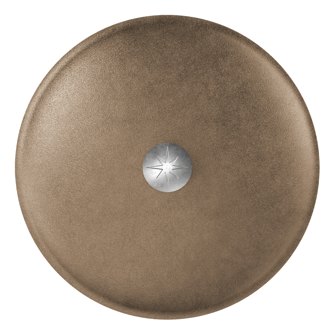 12-Inch Cast Iron Lid