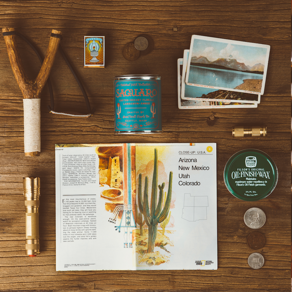 Saguaro National Park Candle - My American Goods