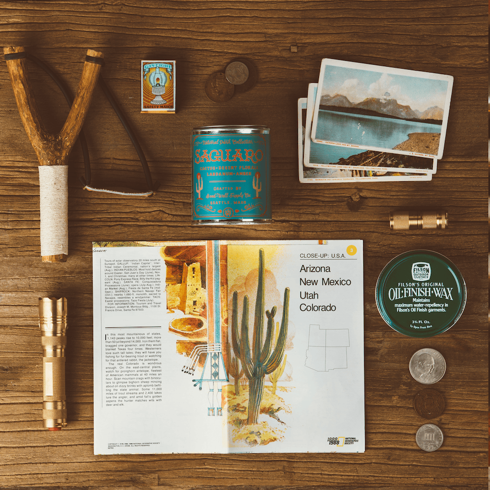 Saguaro National Park Candle - My American Goods