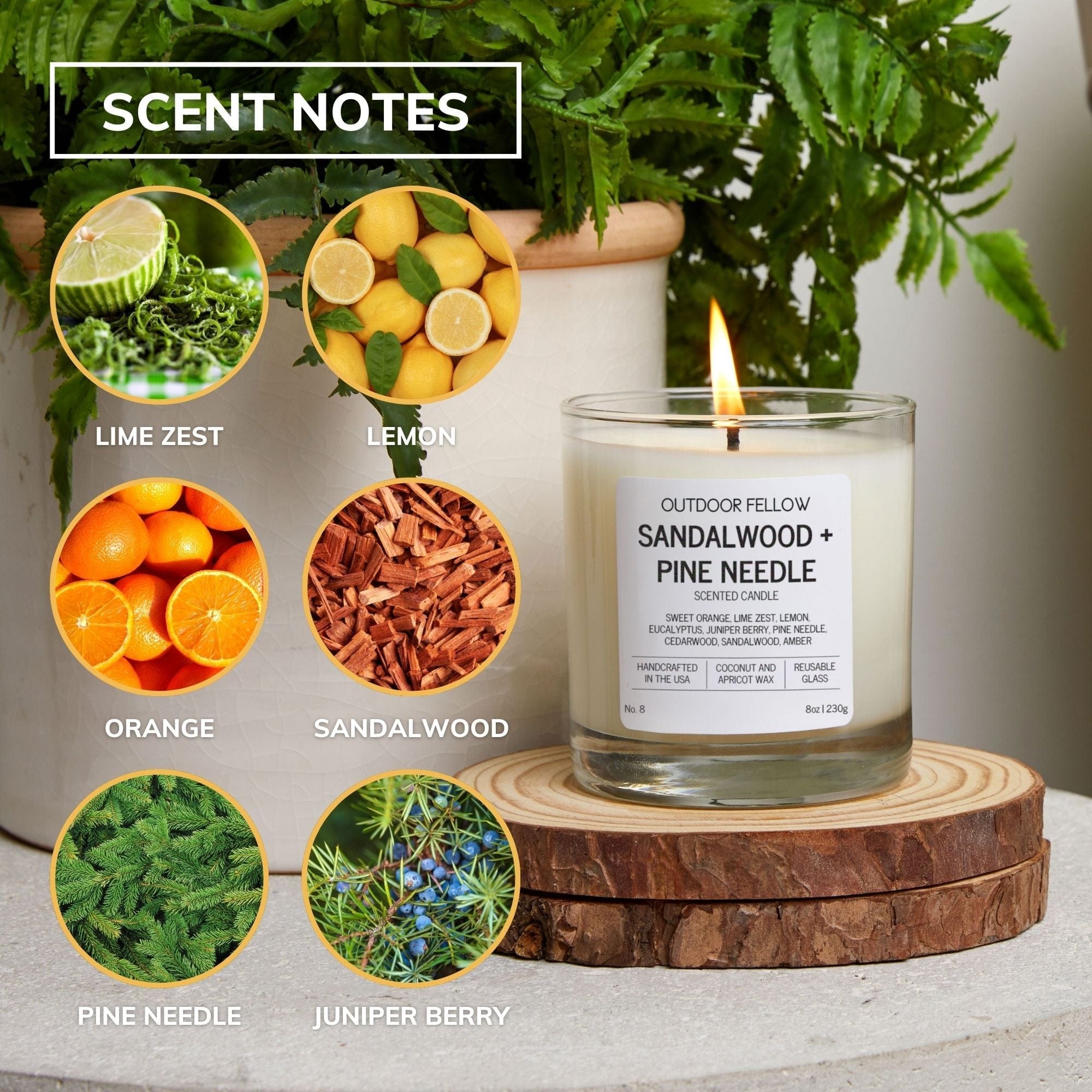Sandalwood and Pine Needle Scented Candle