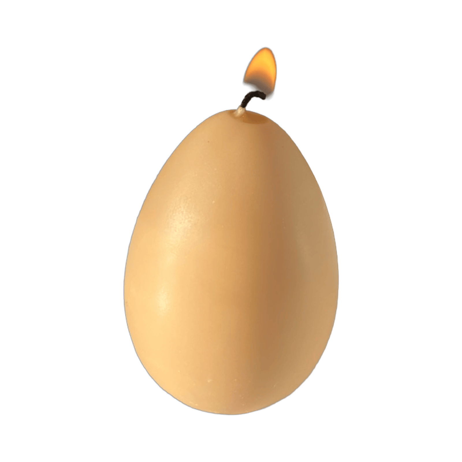 Scandles Farmers Markets Egg Candles - 6 Pack Box