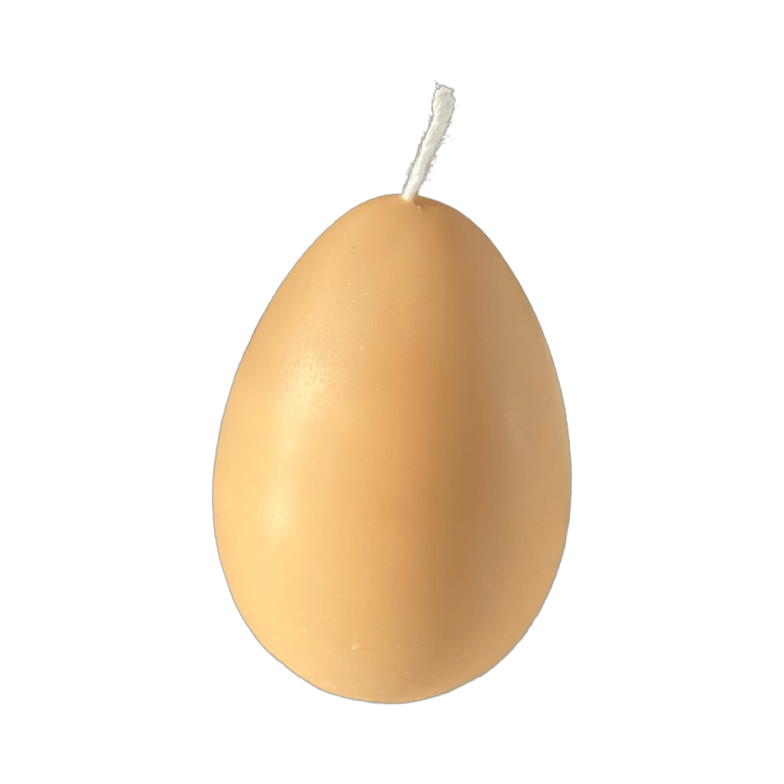 Egg Candles - 6 Pack Box