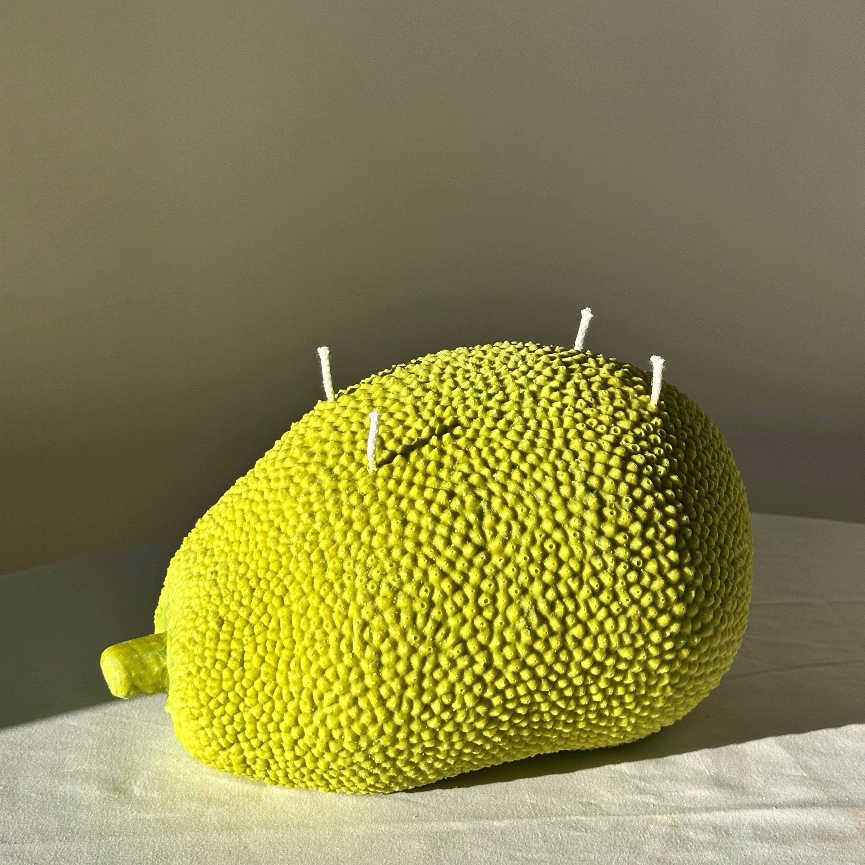 Scandles Farmers Markets Green / Tropical / Single Jackfruit Jackfruit Candle