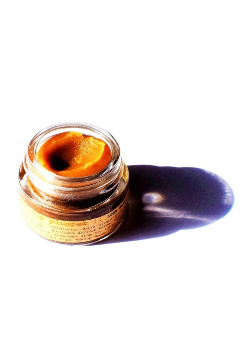 plant makeup Cinnamon Lip Plumper