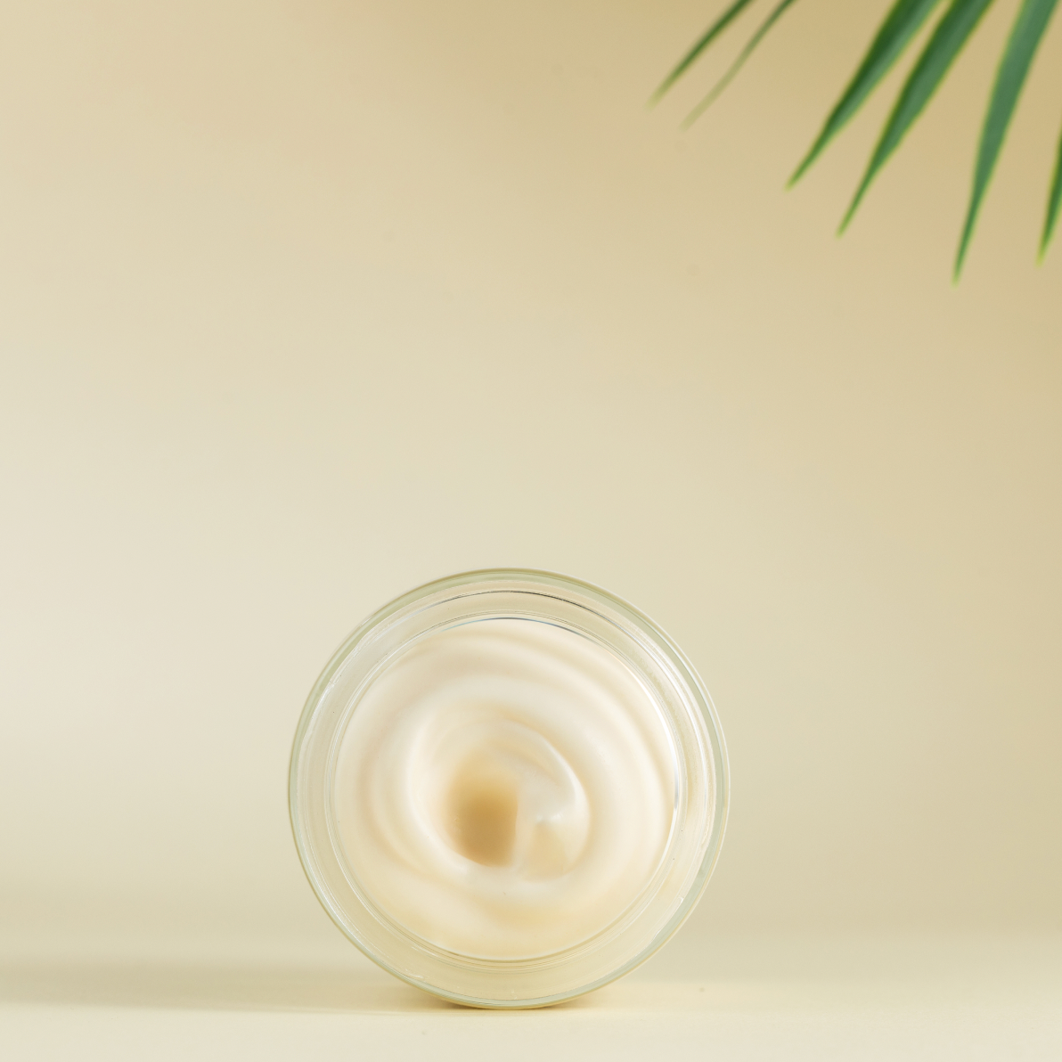 Whipped Tallow Honey Cream for Face | 4 oz - My American Goods