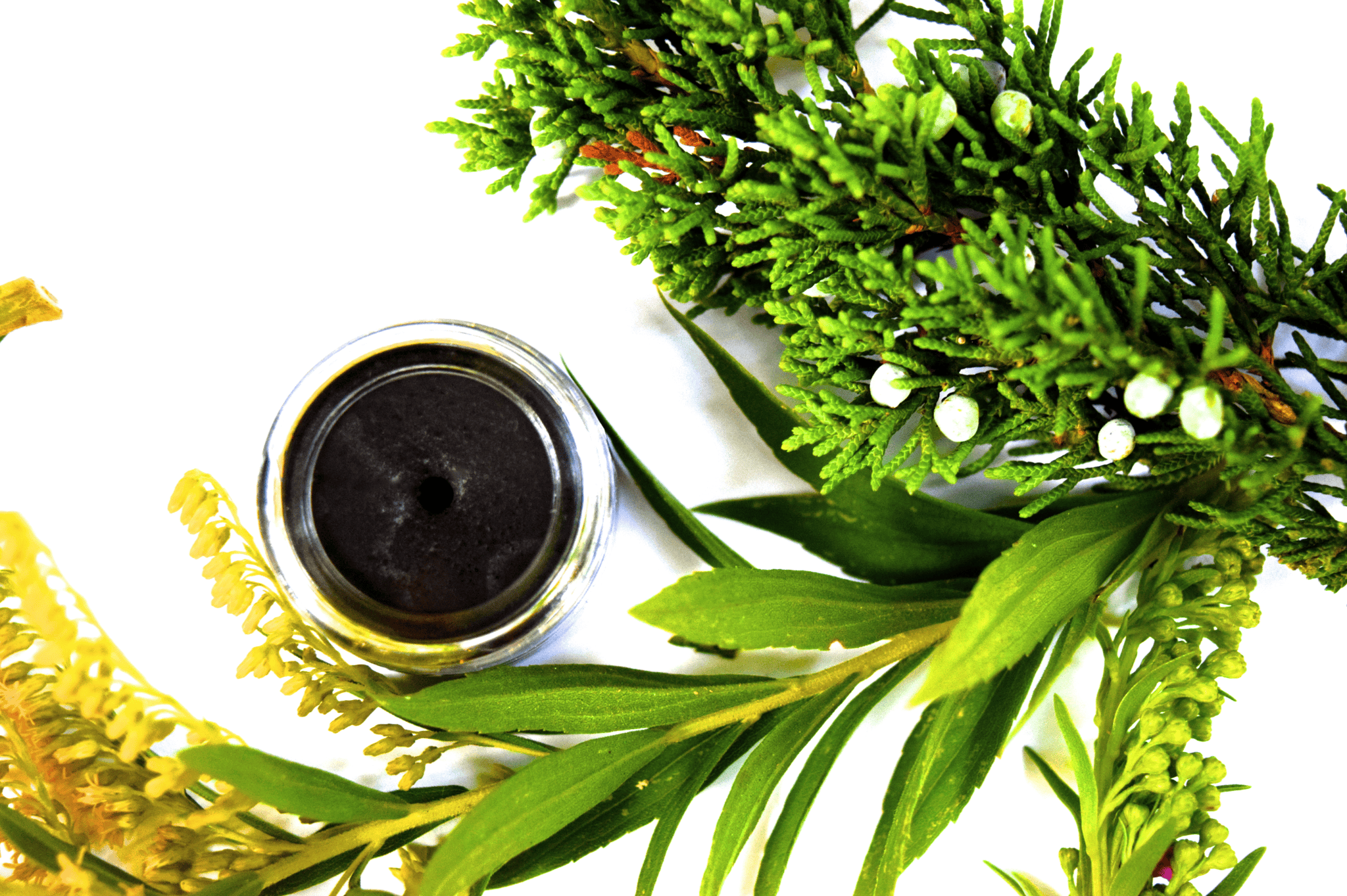 plant makeup Goth Girl Makeup Balm