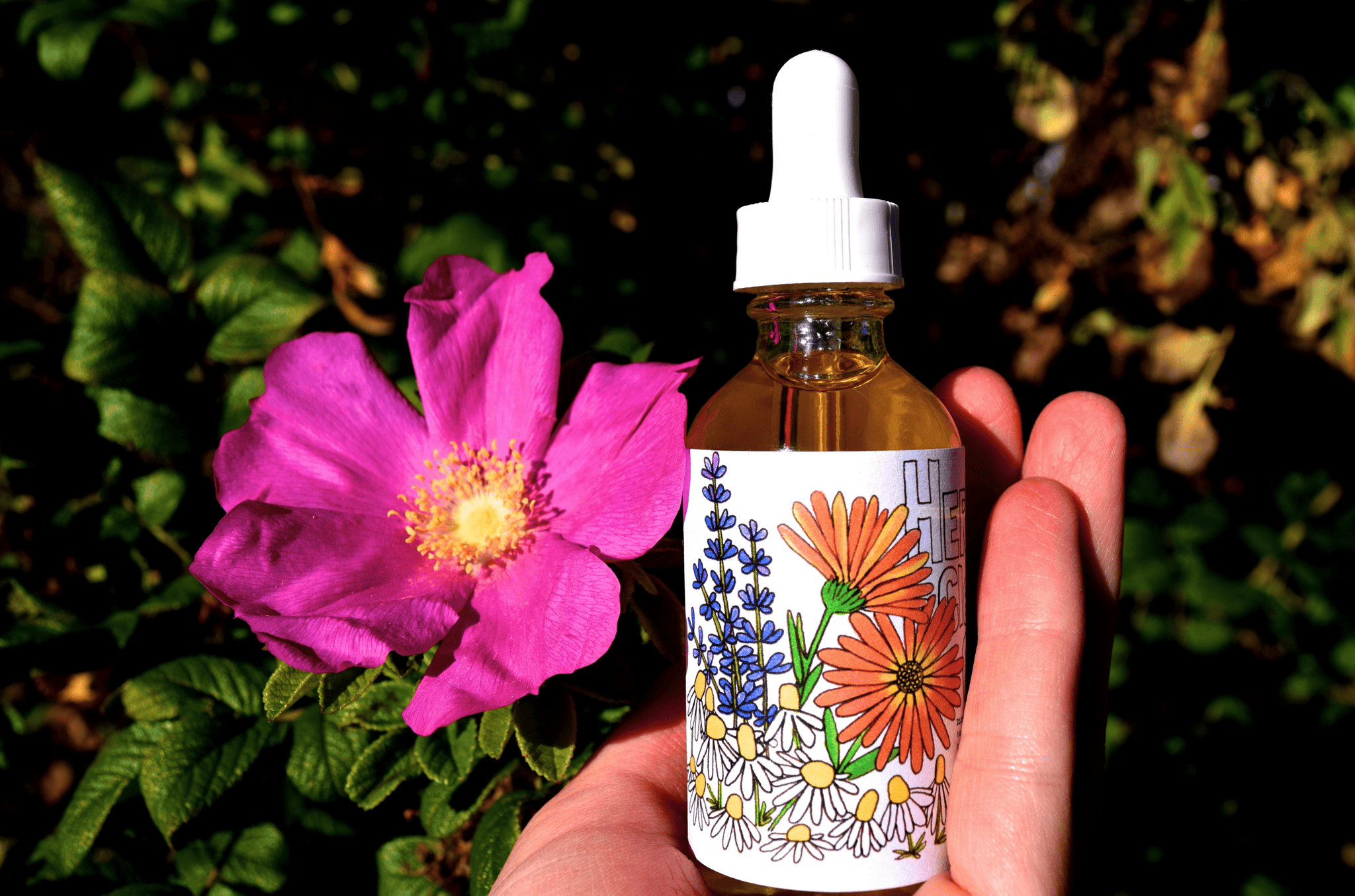 Herbal Cleansing Oil - My American Goods