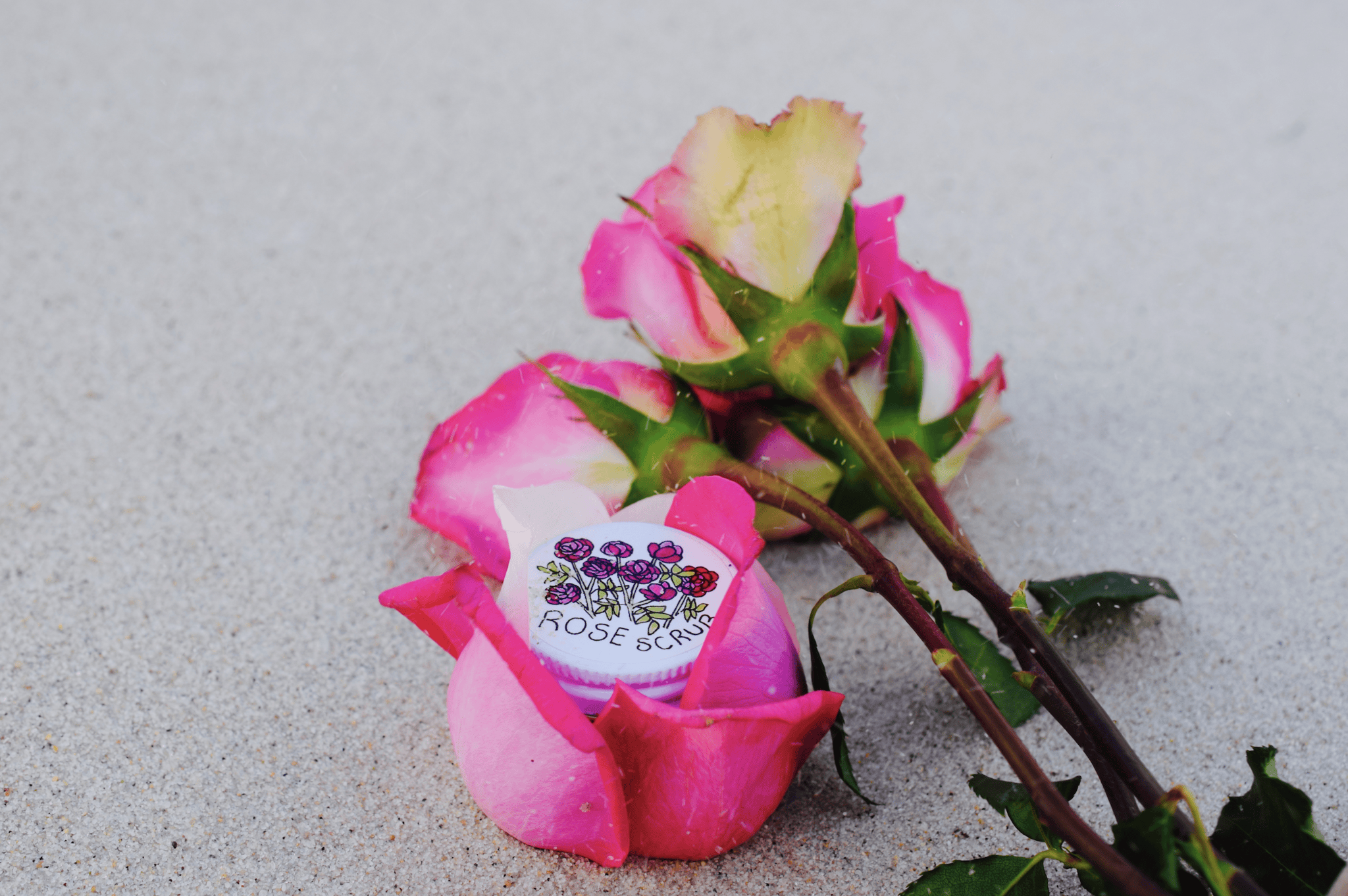 plant makeup Beach Rose Scrub