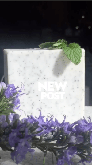 Heliotrope SF Soap Exfoliating Bath Bars