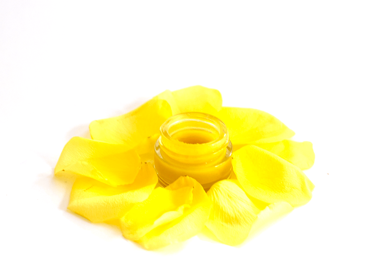 plant makeup Turmeric Balm