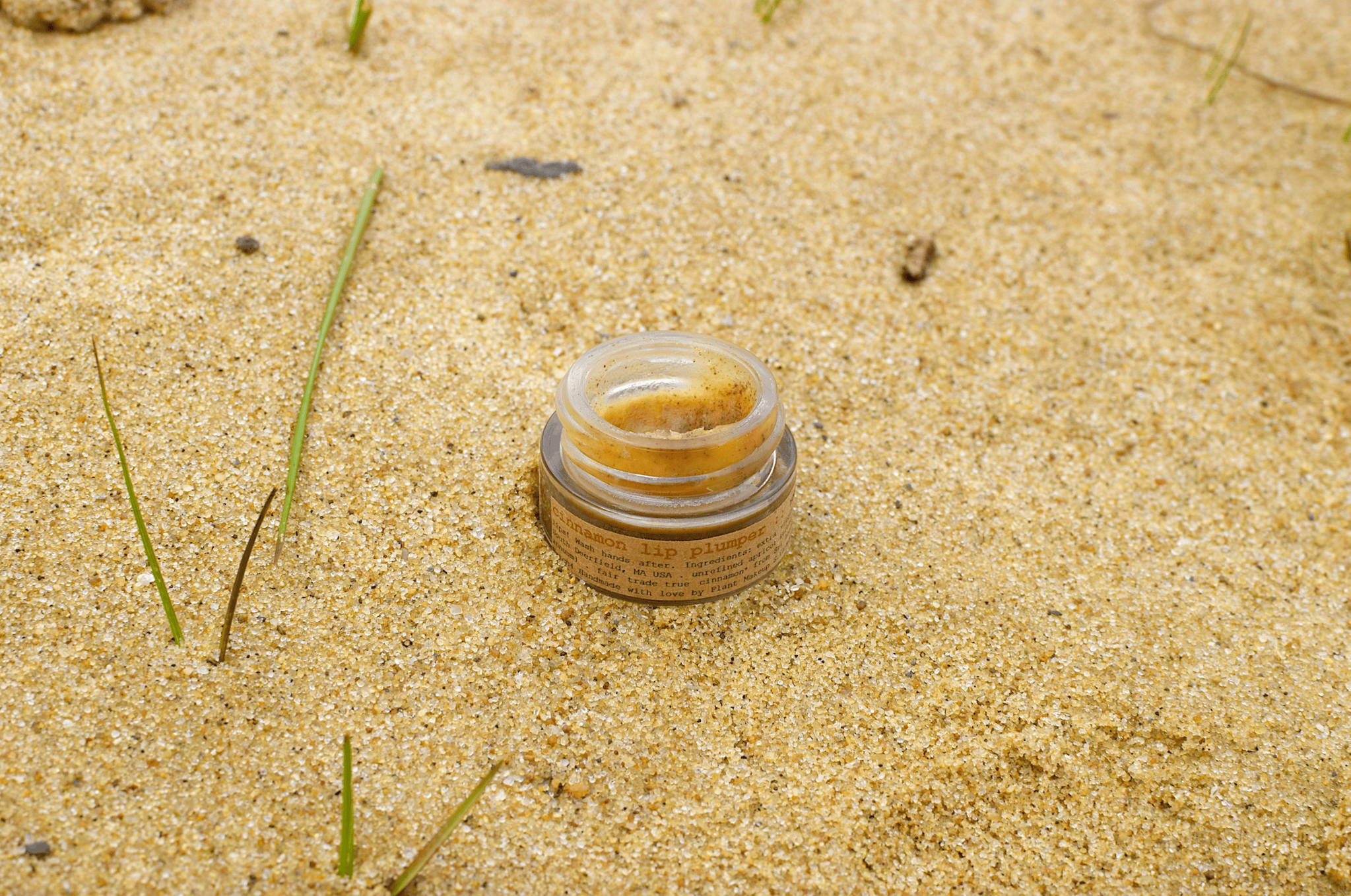 plant makeup Cinnamon Lip Plumper