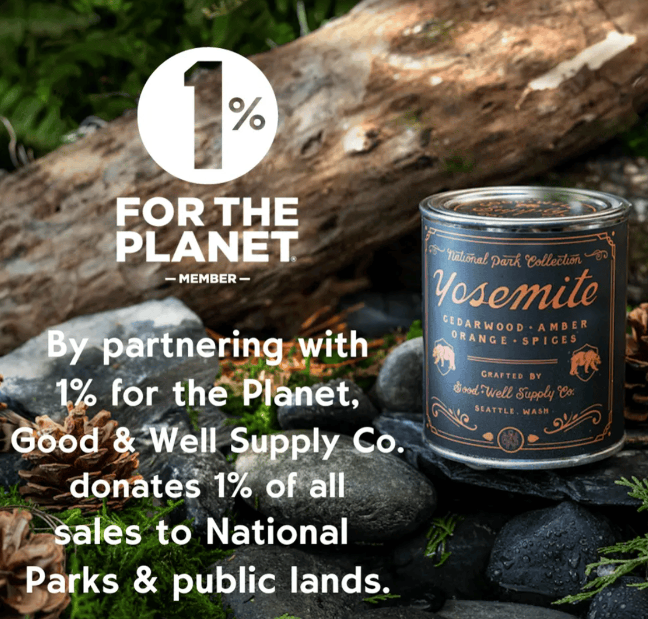 Good & Well Supply Co Candles Capitol Reef National Park Candle