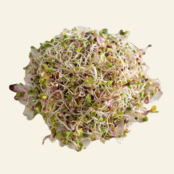 Seed Sprouting Kit | Sprouts | Microgreens - My American Goods