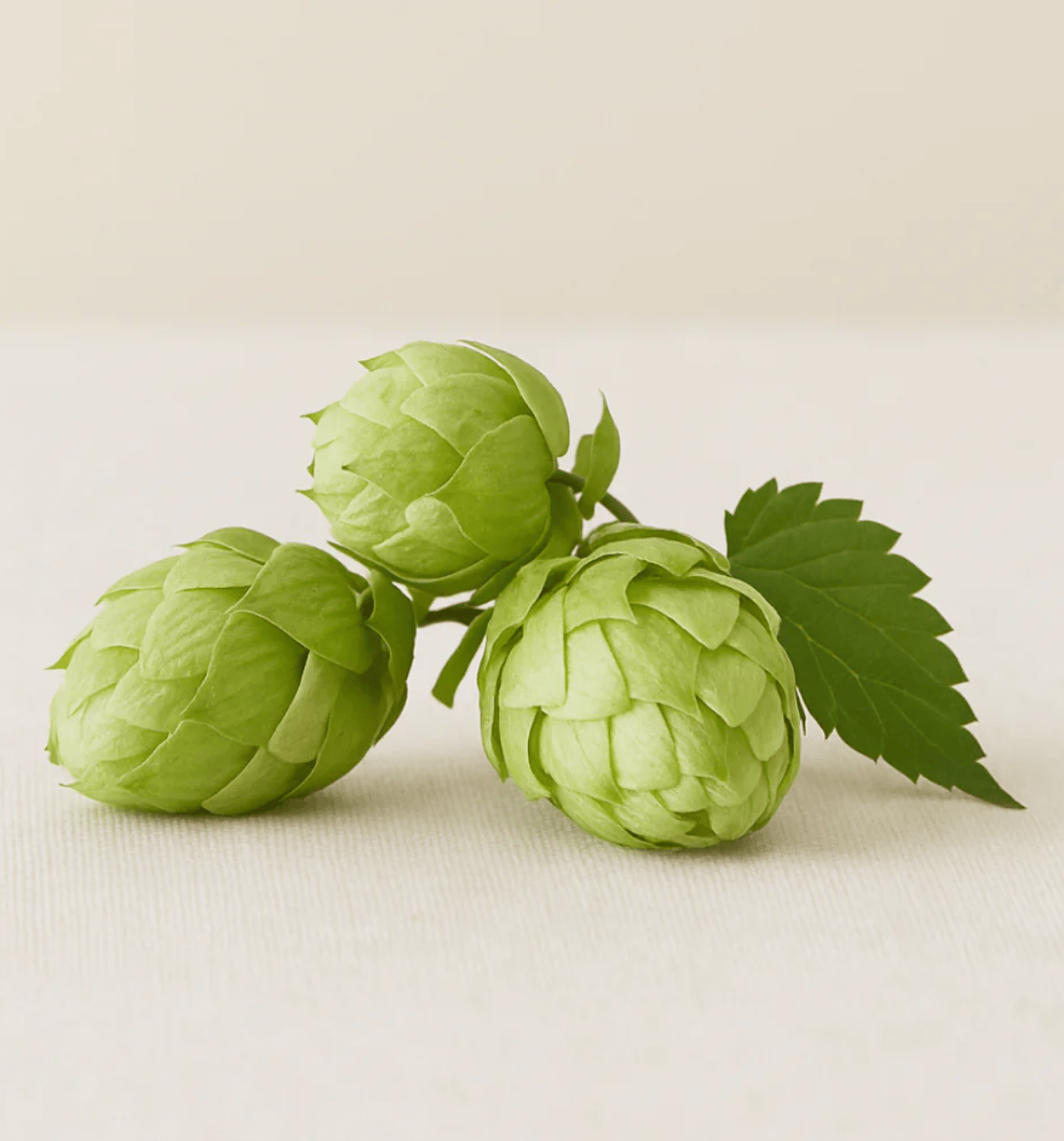 Limited Hop-Infused Growth Serum - My American Goods