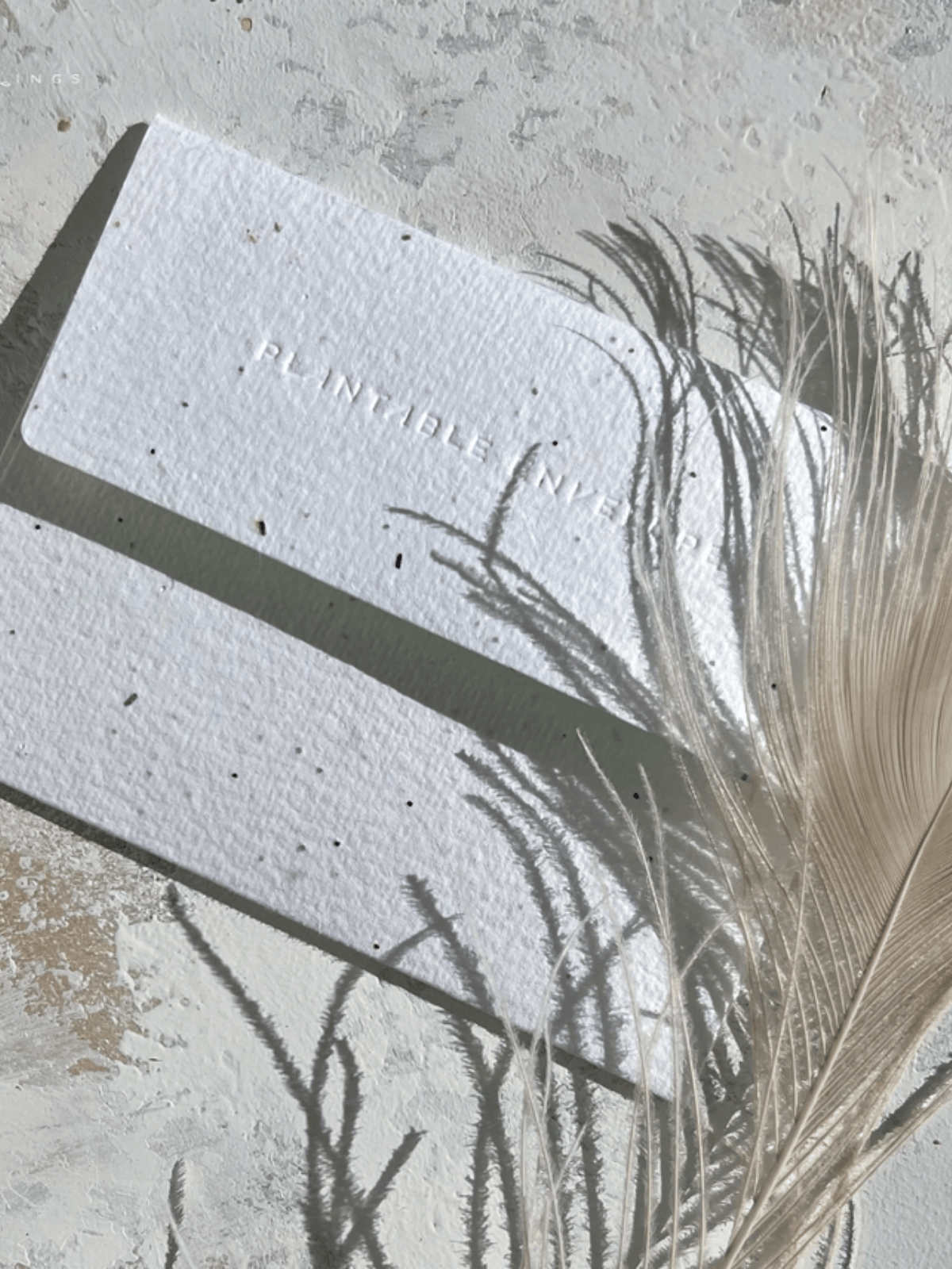 In the Shade - Seeded Sympathy Card - My American Goods