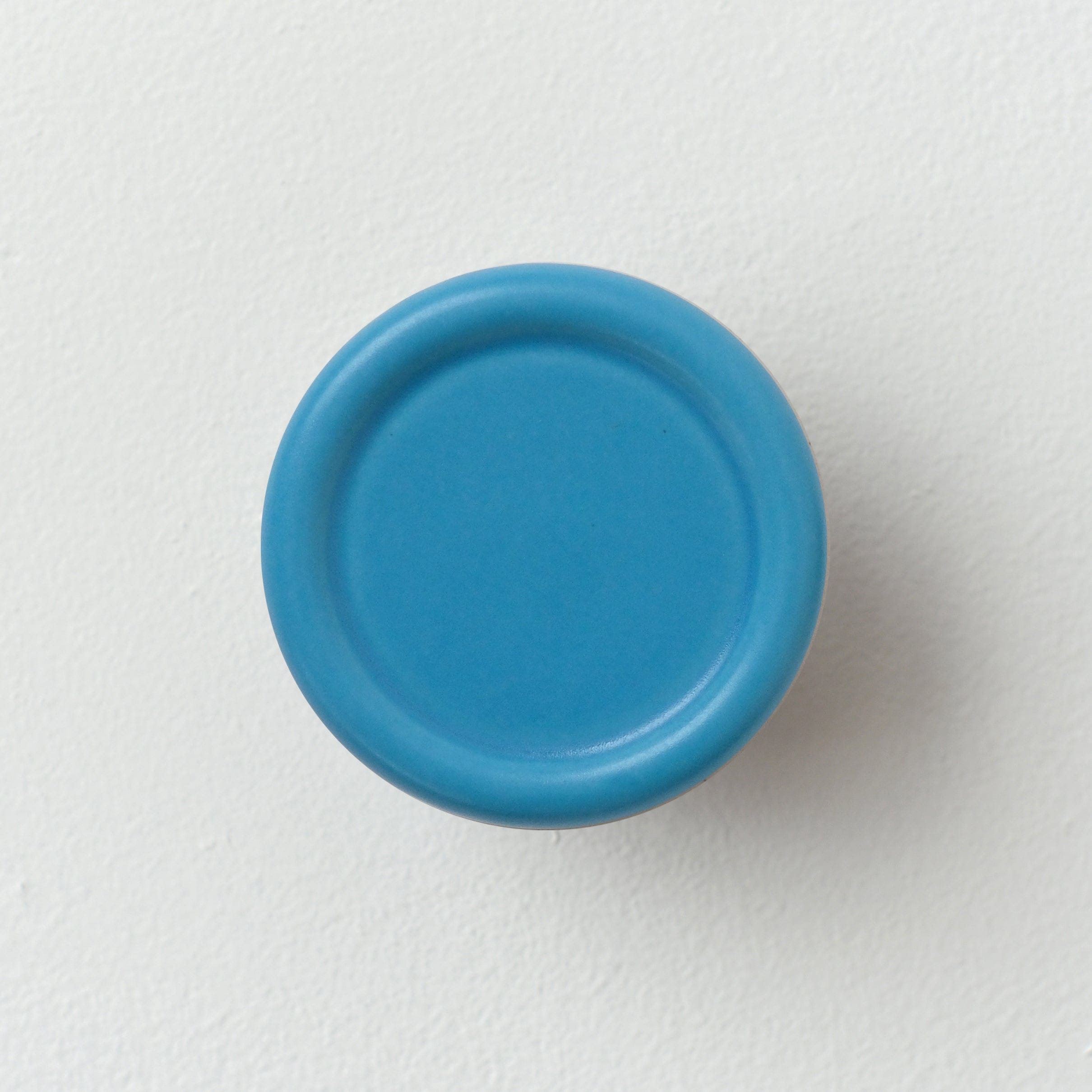 Misewell modern furniture Blue Sequence coat hook - Revolve
