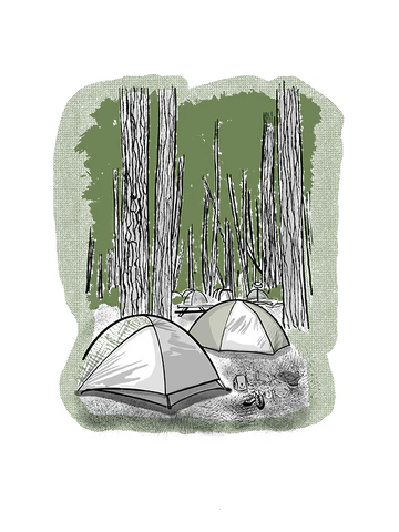 YOSEMITE NATIONAL PARK