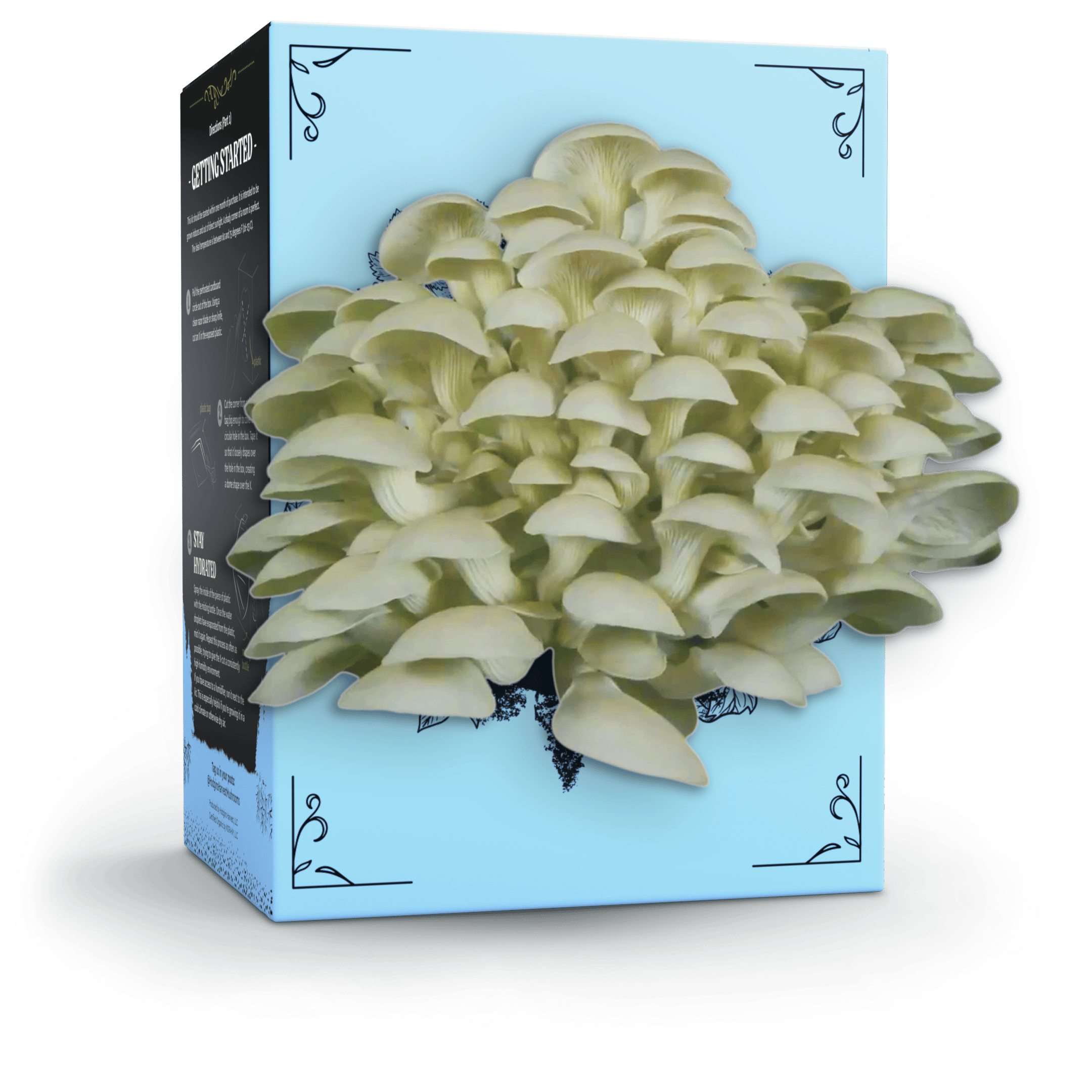 Hodgins Harvest Mushroom Growing Supplies Organic Oyster Mushroom Grow Kit
