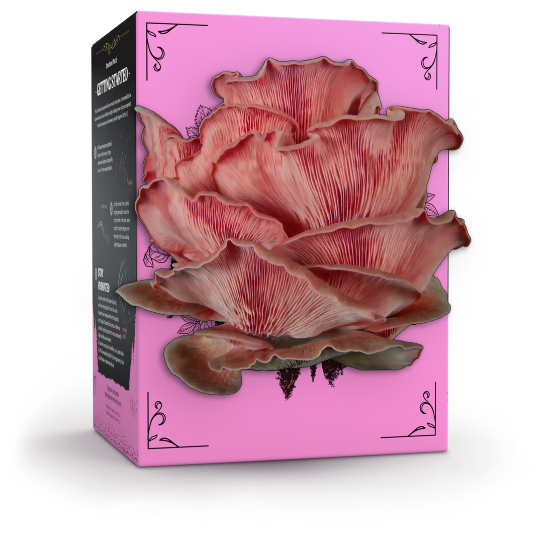 Organic Pink Oyster Mushroom Grow Kit - My American Goods