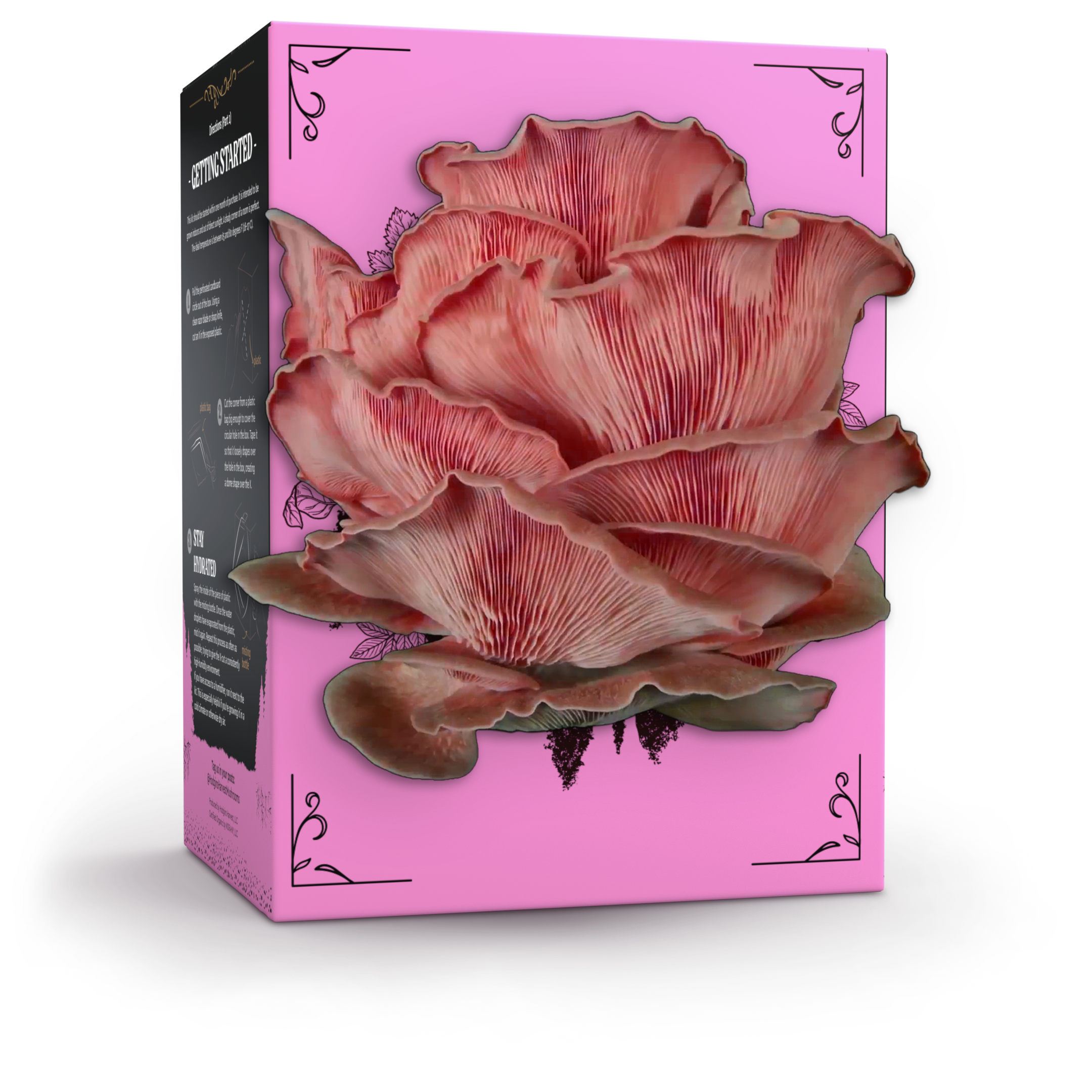 Organic Pink Oyster Mushroom Grow Kit - My American Goods