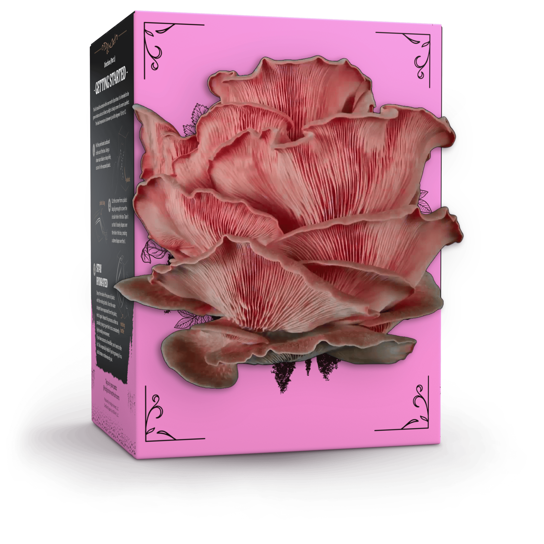 Hodgins Harvest Mushroom Growing Supplies Organic Pink Oyster Mushroom Grow Kit