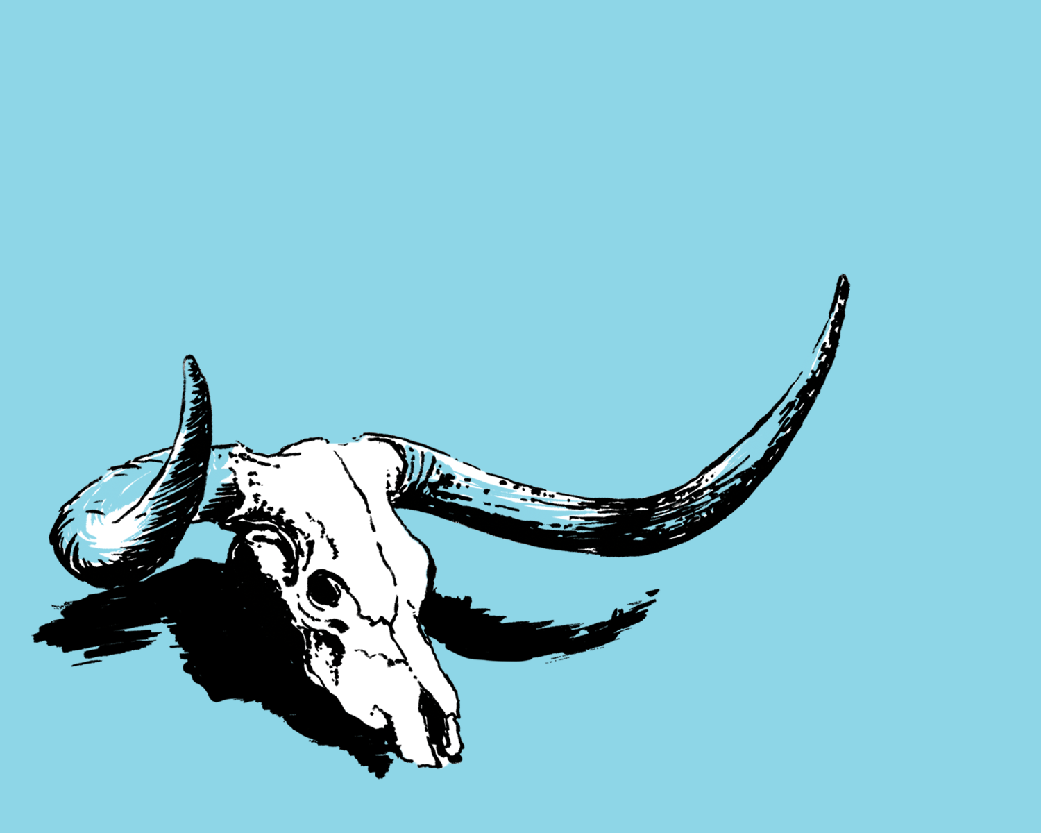 AUSTIN - My American Goods