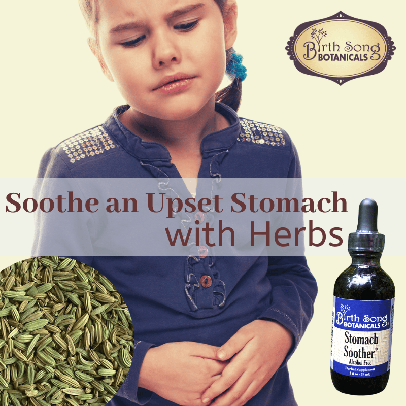 Birth Song Botanicals Co. Tinctures Stomach Soother Herbal Tincture – Botanical Digestive Blend (1 oz)