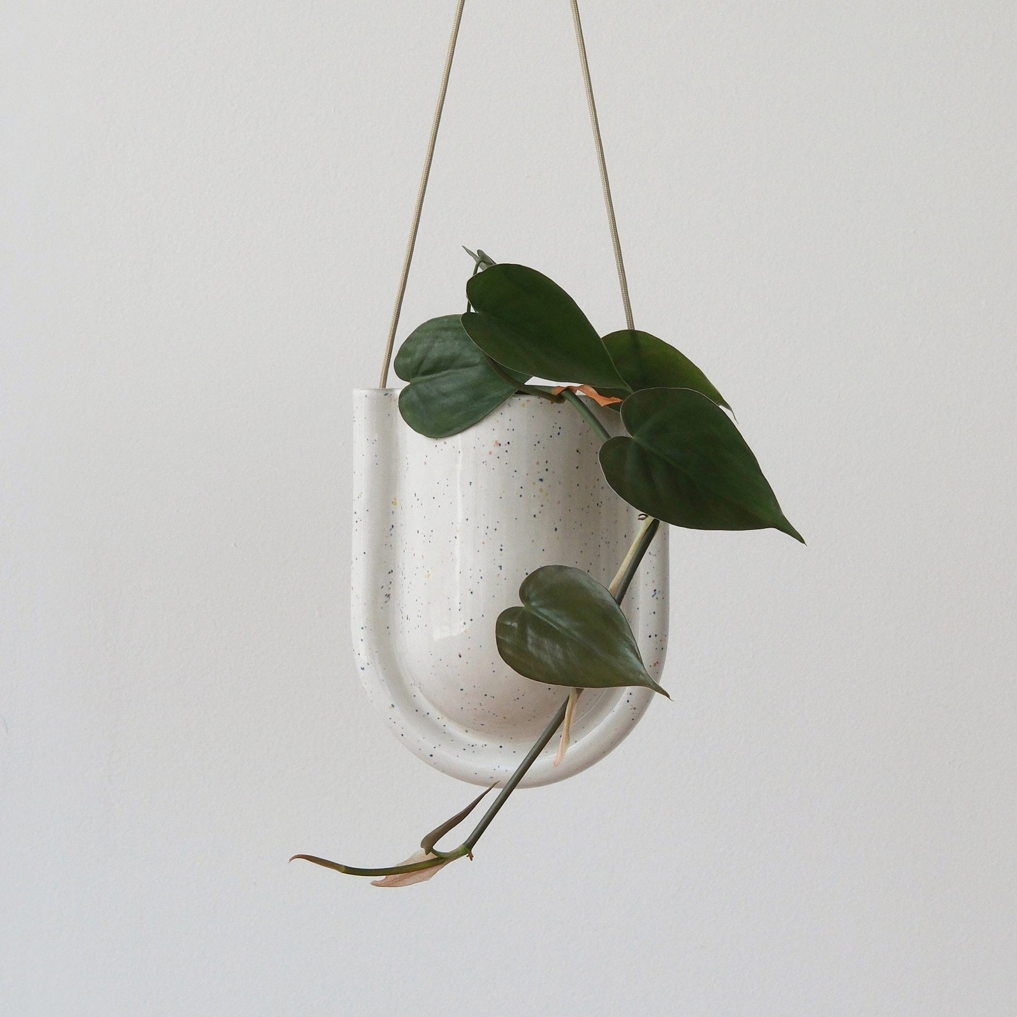 Misewell Pots & Planters Speckle Portico Planter