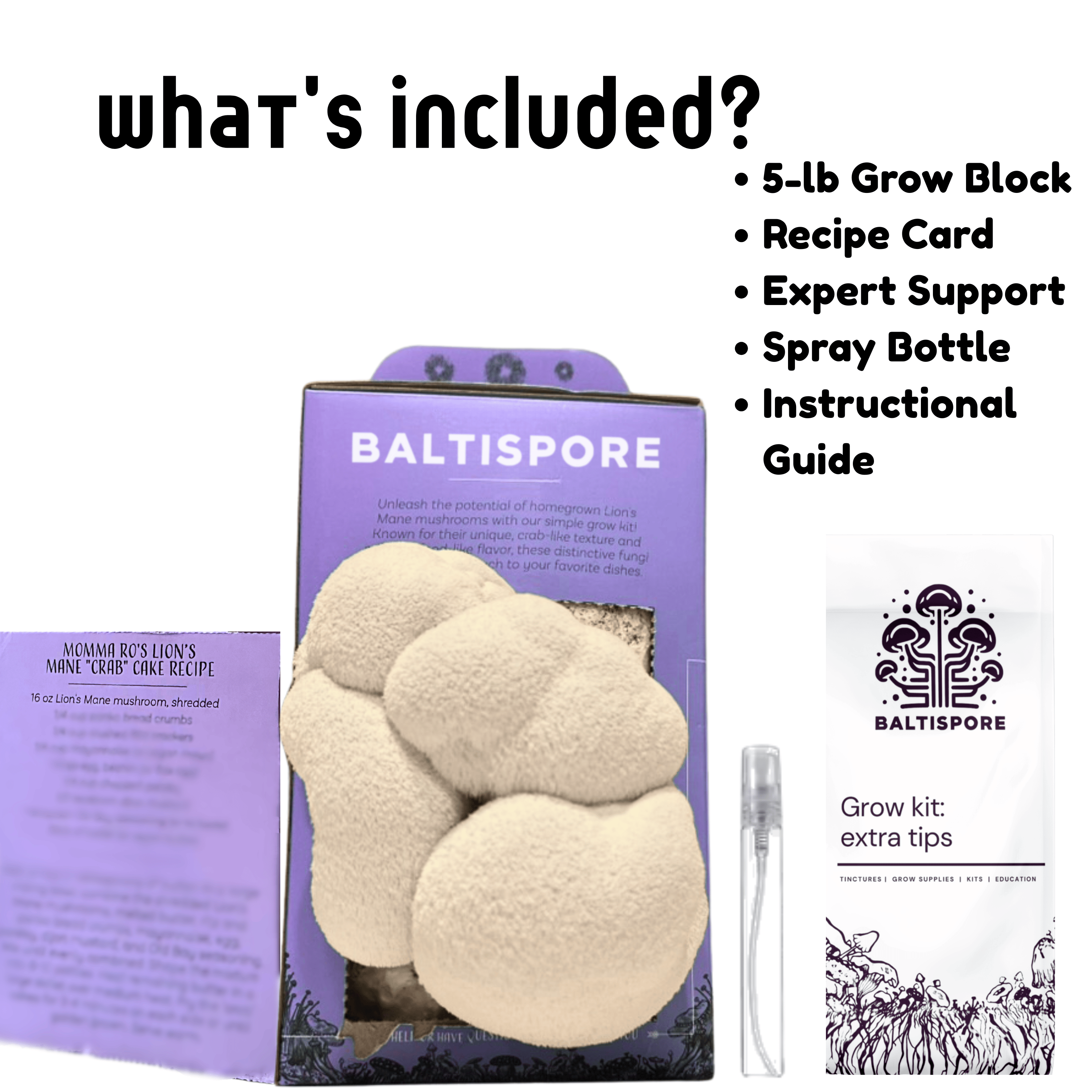 BaltiSpore Lion’s Mane “Ready-To-Fruit” Grow Kit