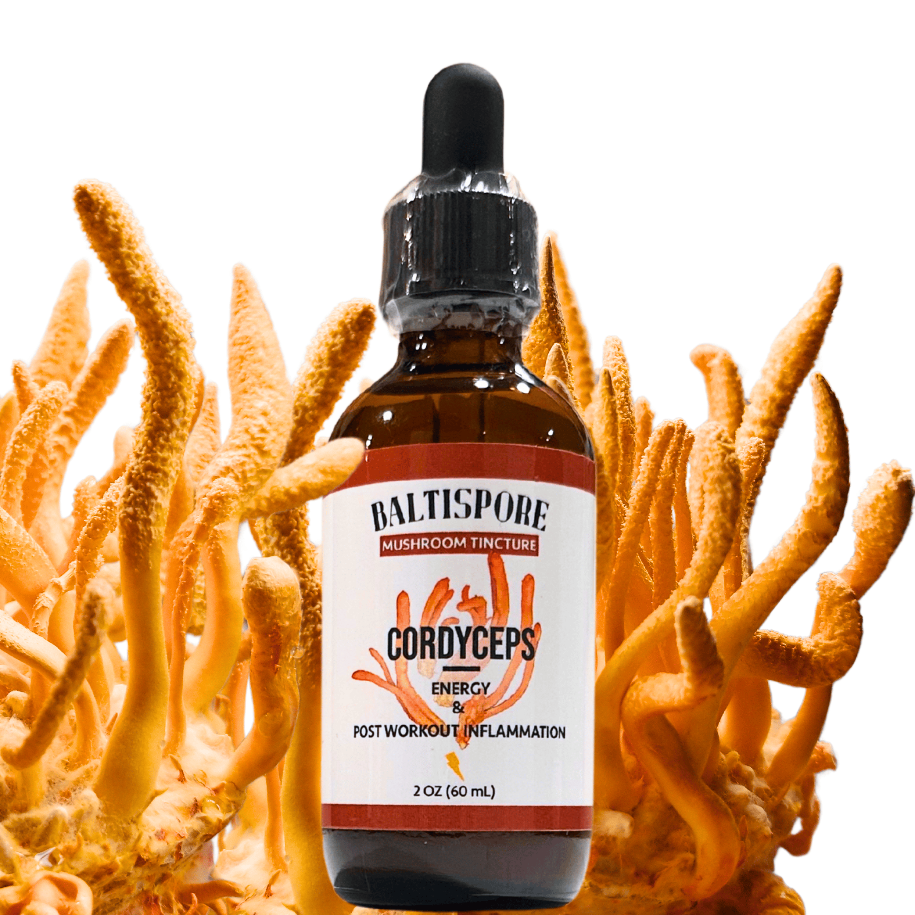 BaltiSpore Tincture Cordyceps Mushroom Tincture