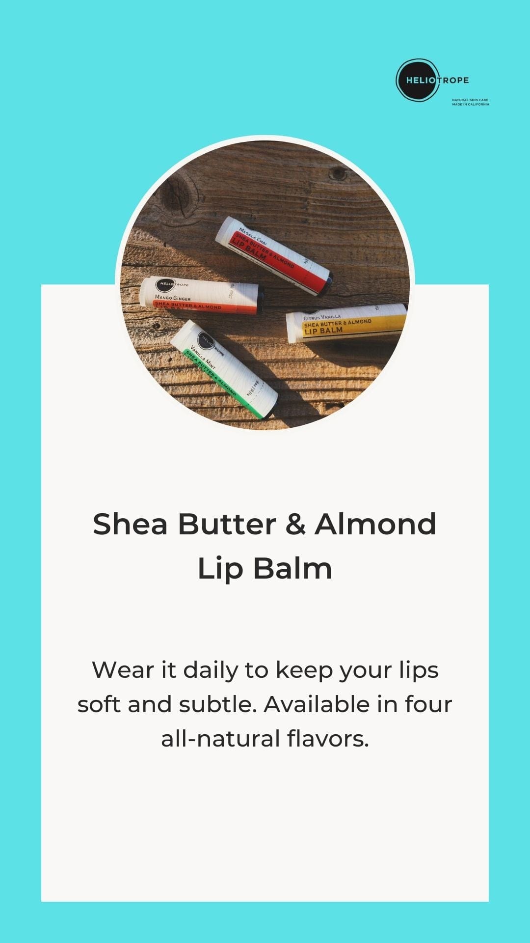 Heliotrope SF Lip Balm Shea Butter & Almond Lip Balm