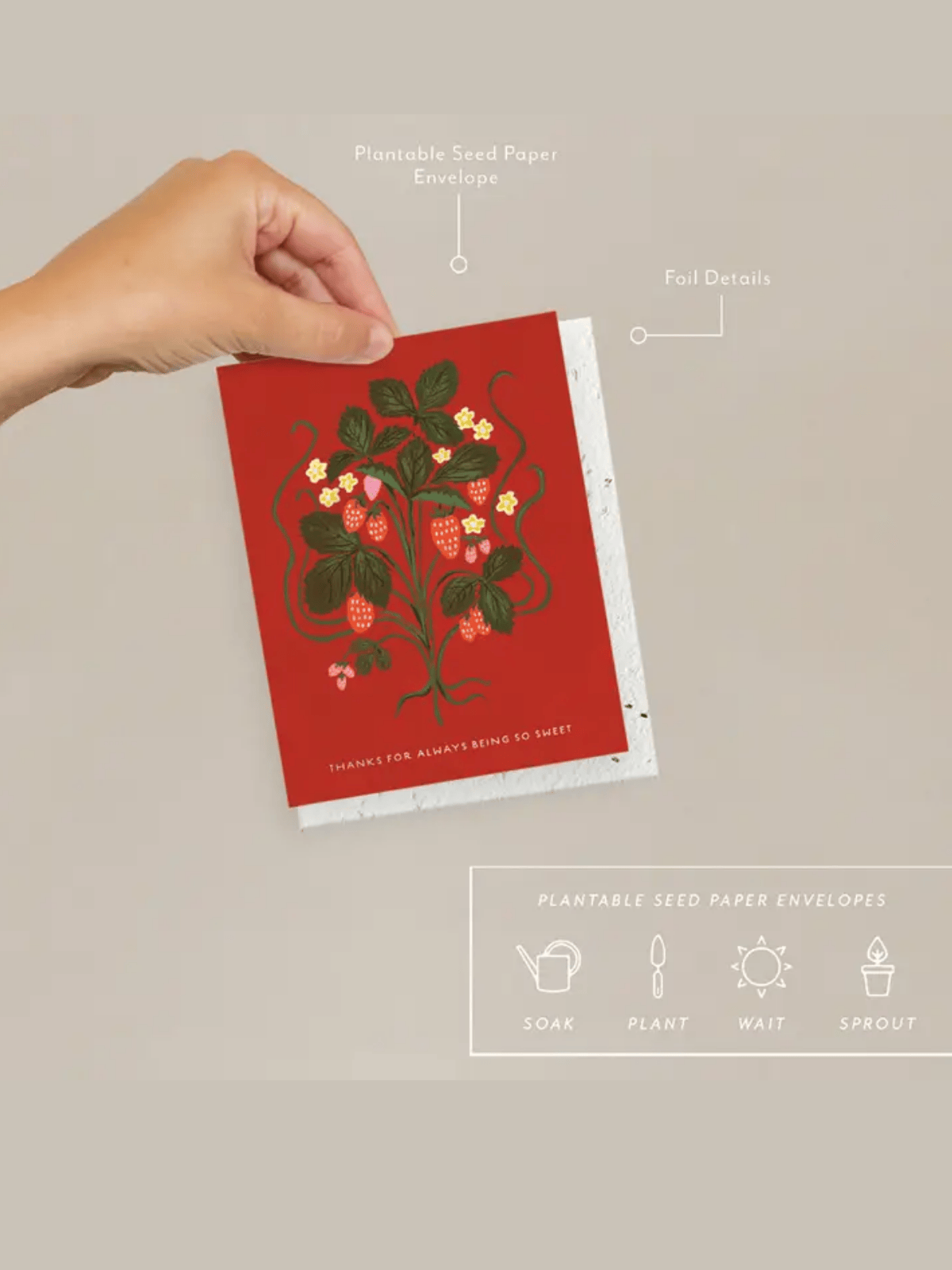 Sweet Strawberry - Seeded Thank You Card - My American Goods