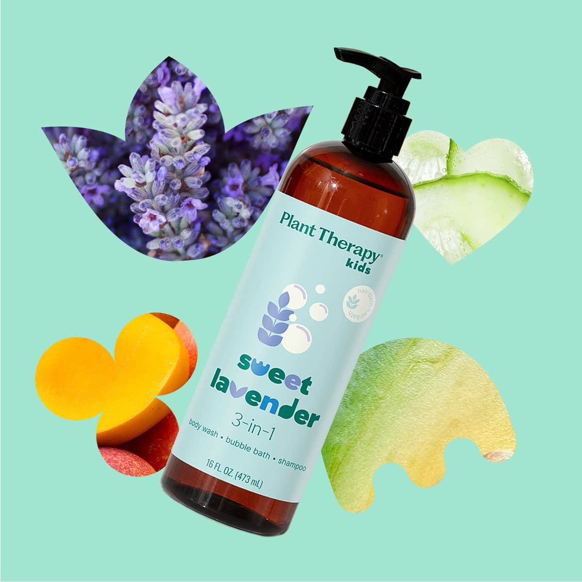 Plant Therapy Body Care 16 oz Sweet Lavender 3-in-1 Body Wash, Bubble Bath, Shampoo