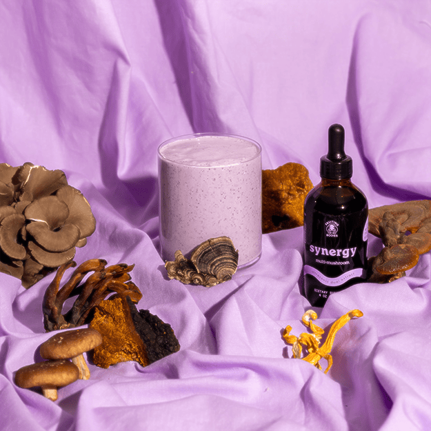 Synergy - My American Goods