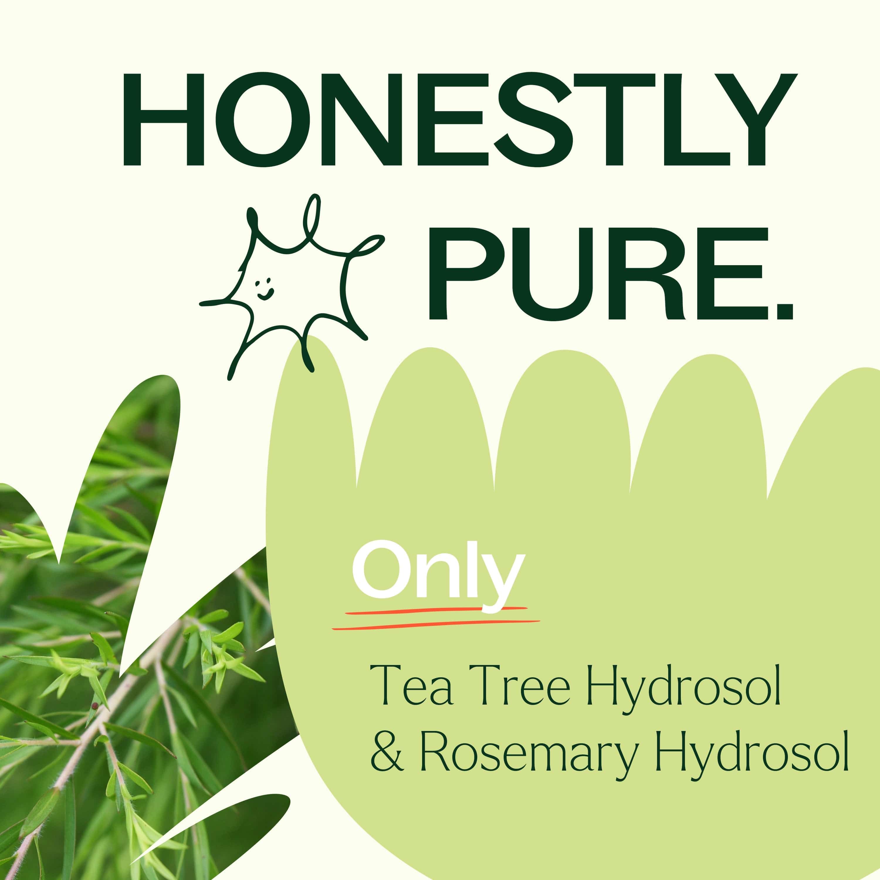 Plant Therapy Hair & Skin Care 4 oz Tea Tree & Rosemary Facial Mist