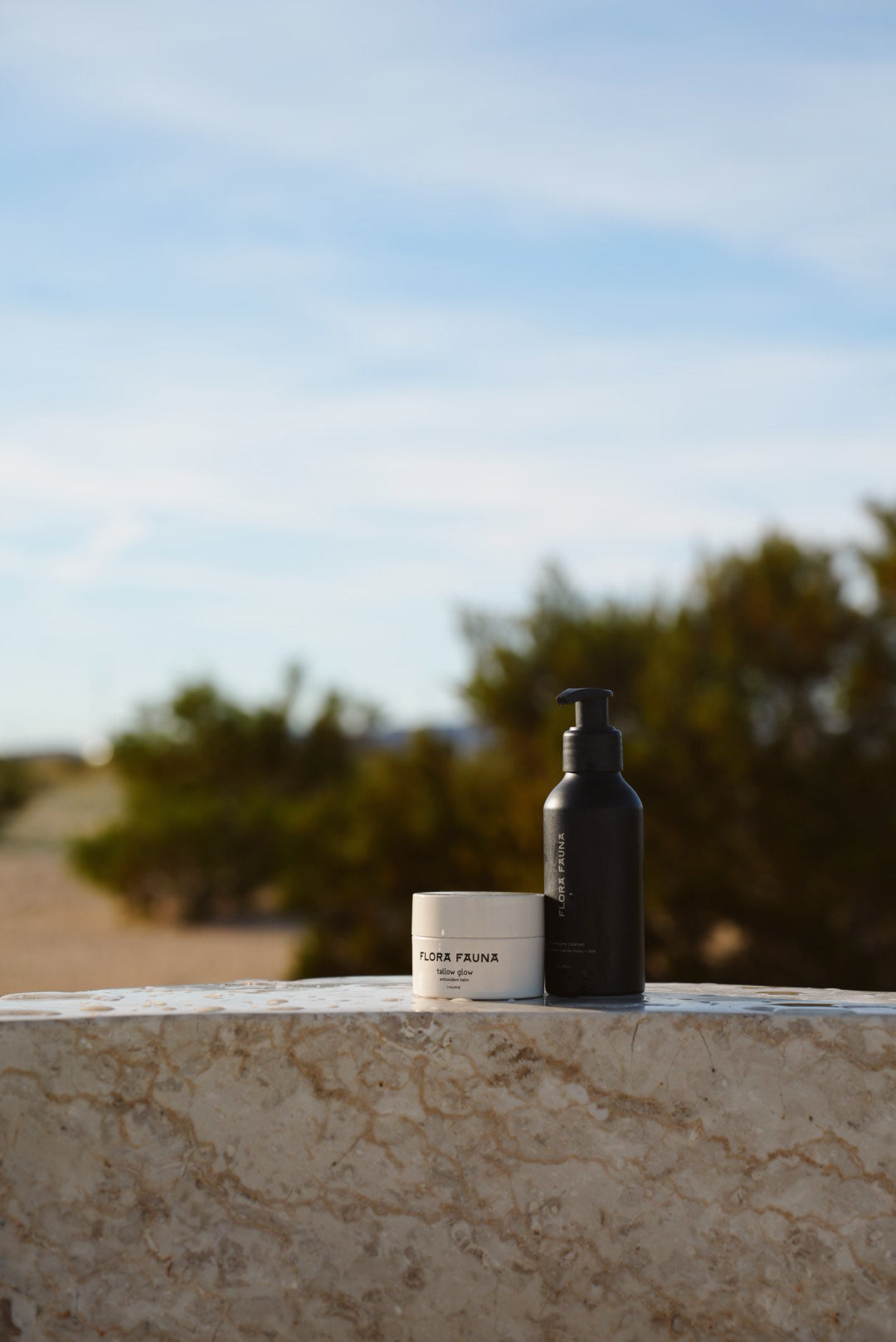 Gentle Enzyme Cleanser