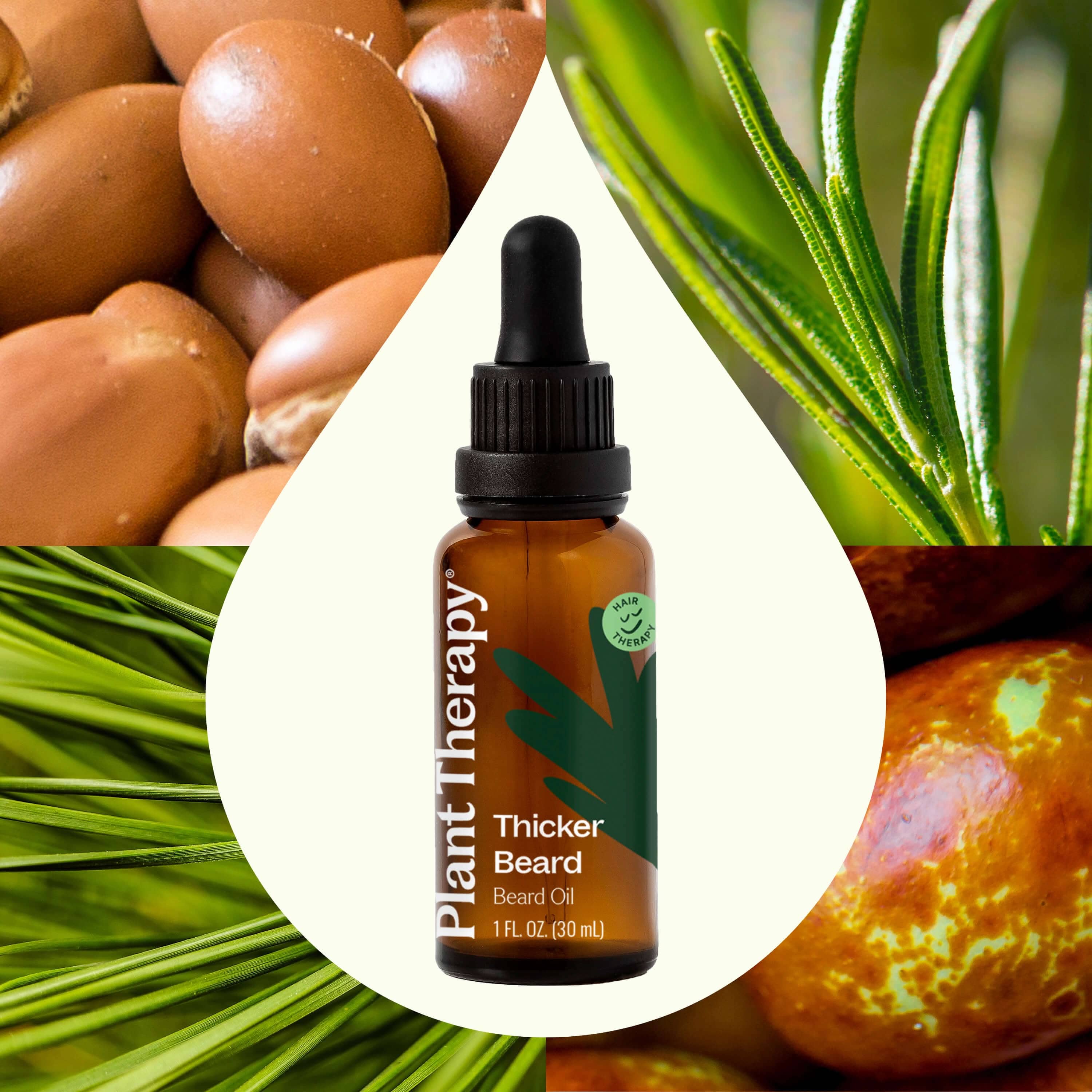 Plant Therapy Hair & Skin Care 30 mL Hair Therapy Thicker Beard - Beard Oil