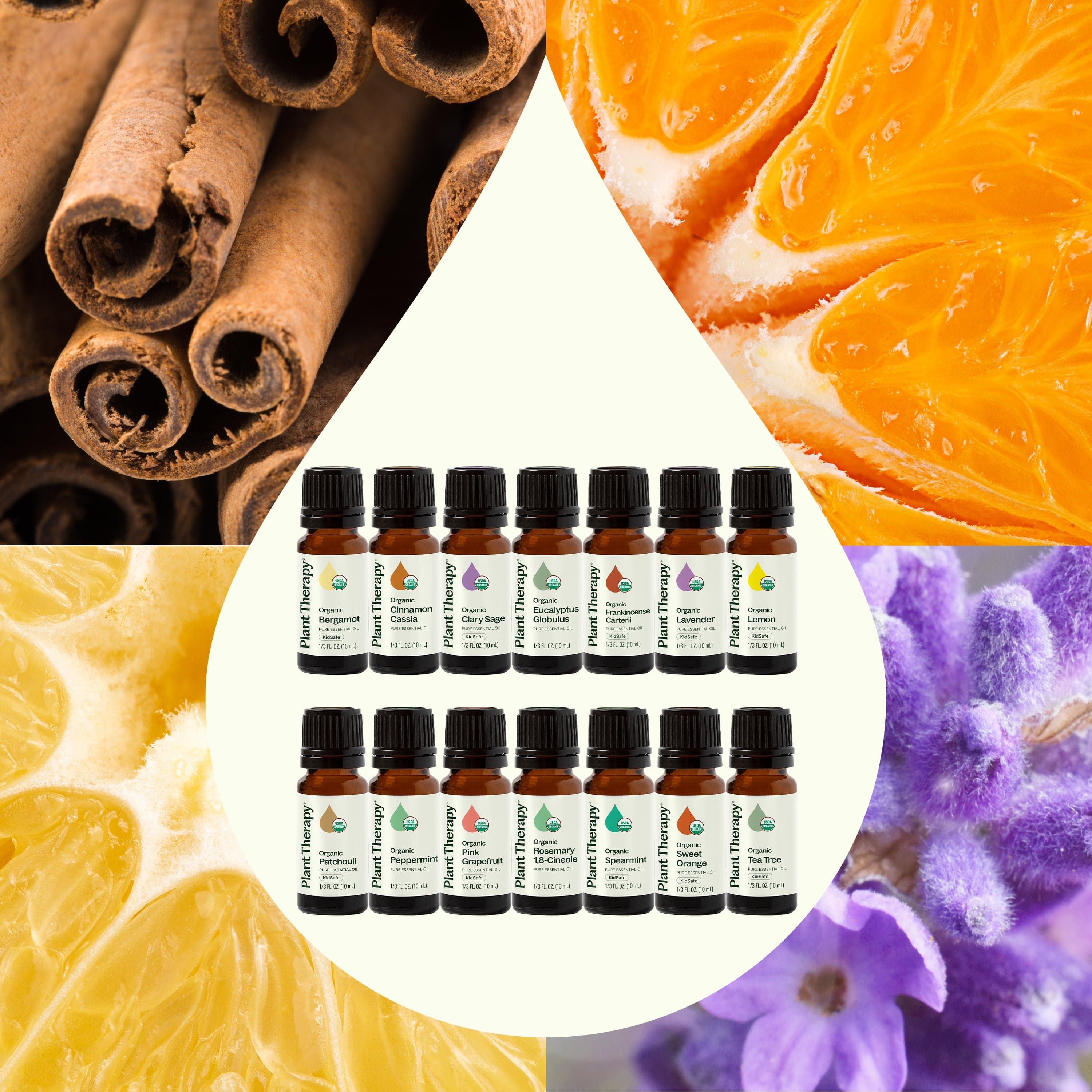Plant Therapy Essential Oil Top 14 Organic Singles Set
