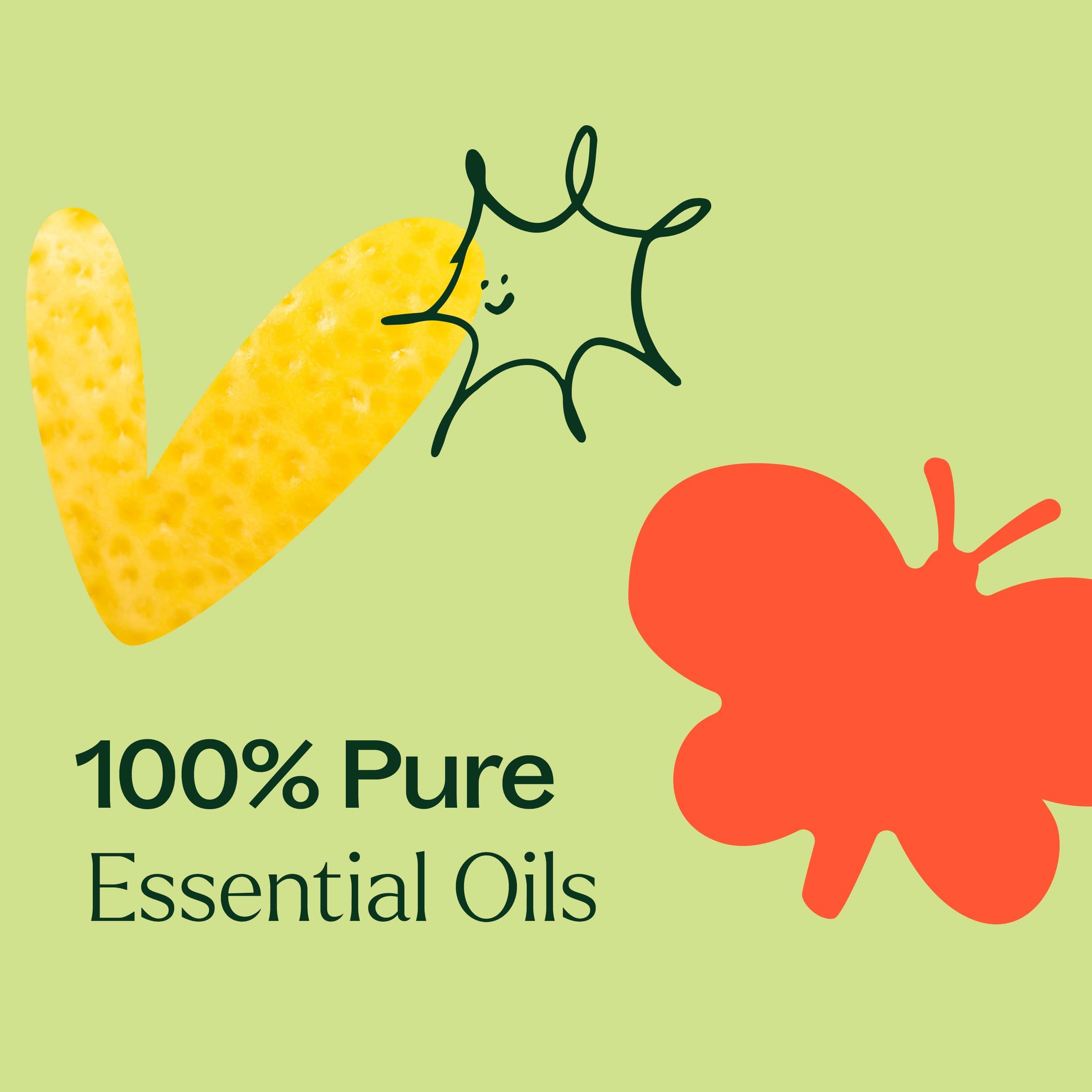 Plant Therapy Essential Oil Top 14 Organic Singles Set