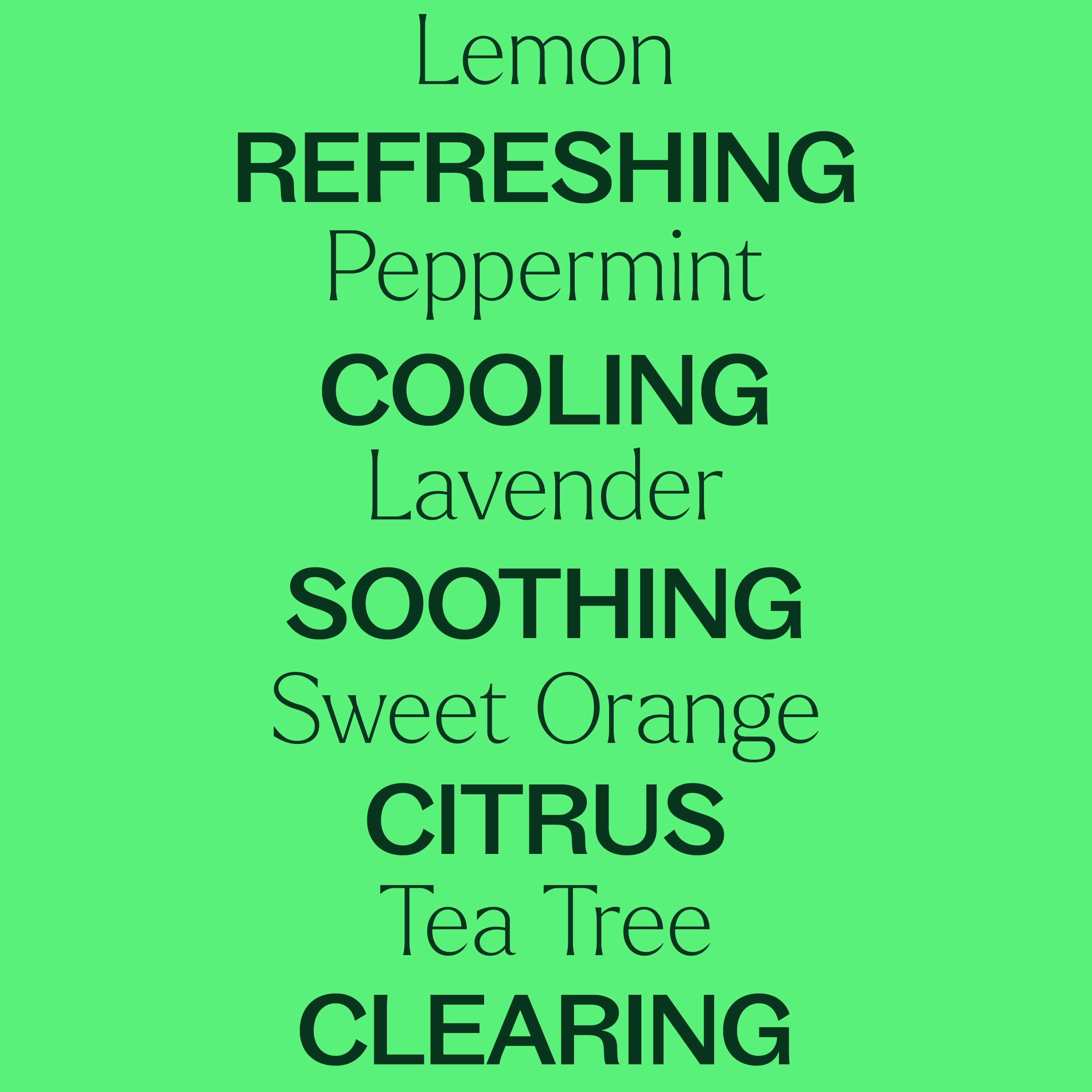 Plant Therapy Essential Oil Top 14 Organic Singles Set