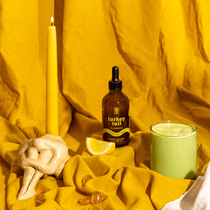 Turkey Tail - My American Goods