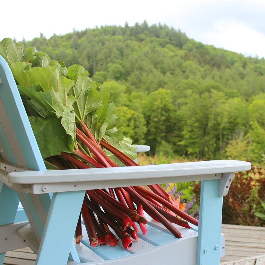 Strawberry Rhubarb Preserve