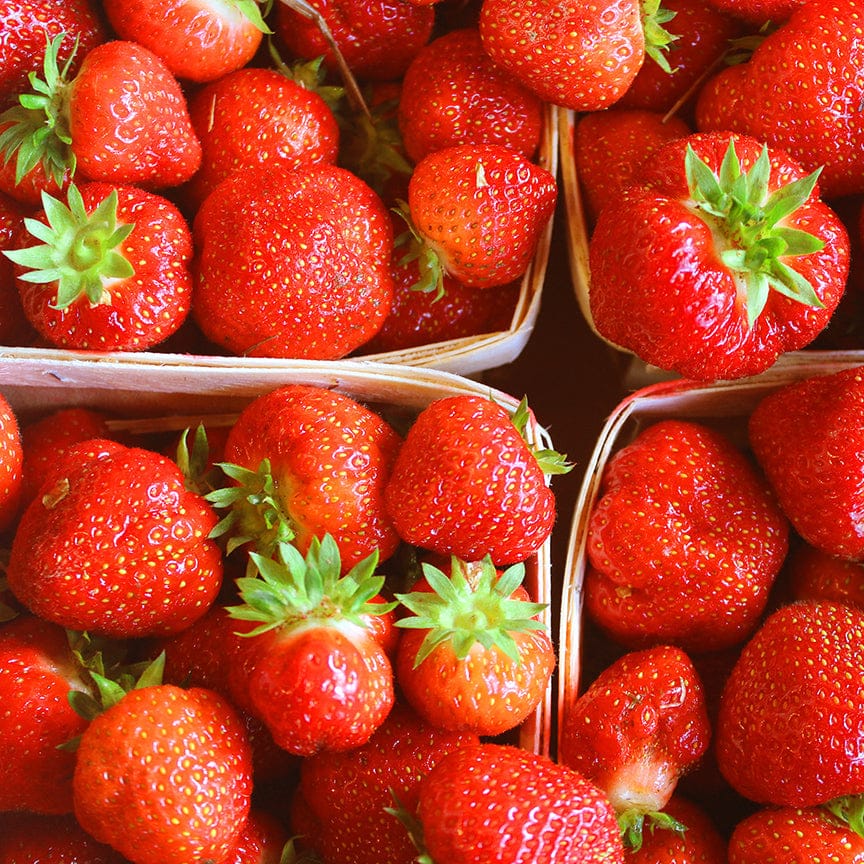 Blake Hill Preserves jam Strawberry Rhubarb Preserve