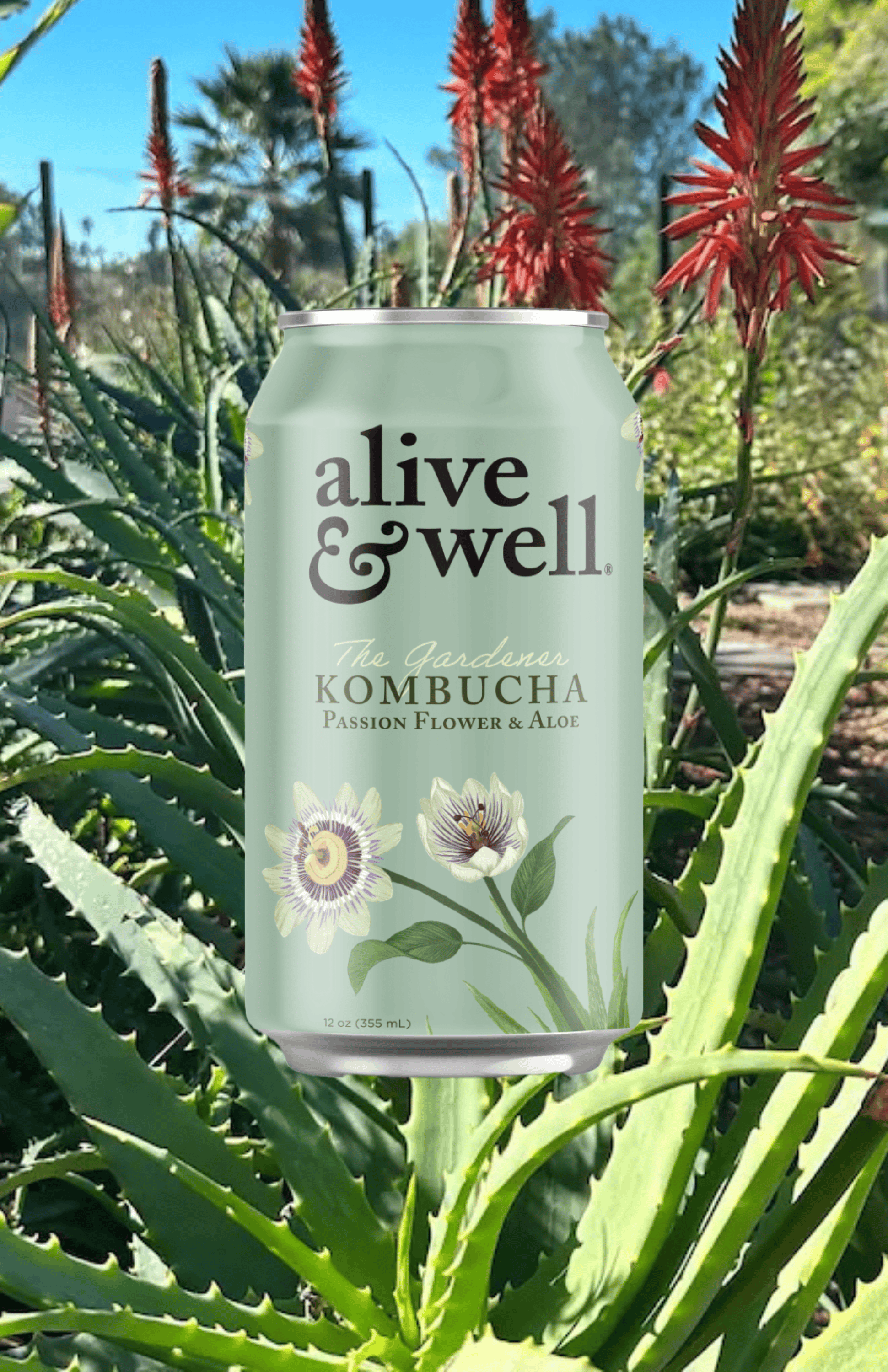 Passionflower & Aloe Kombucha