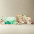 Expert Home Cleaner Kit - All in One Complete Eco-Friendly Cleaning Solution - My American Goods