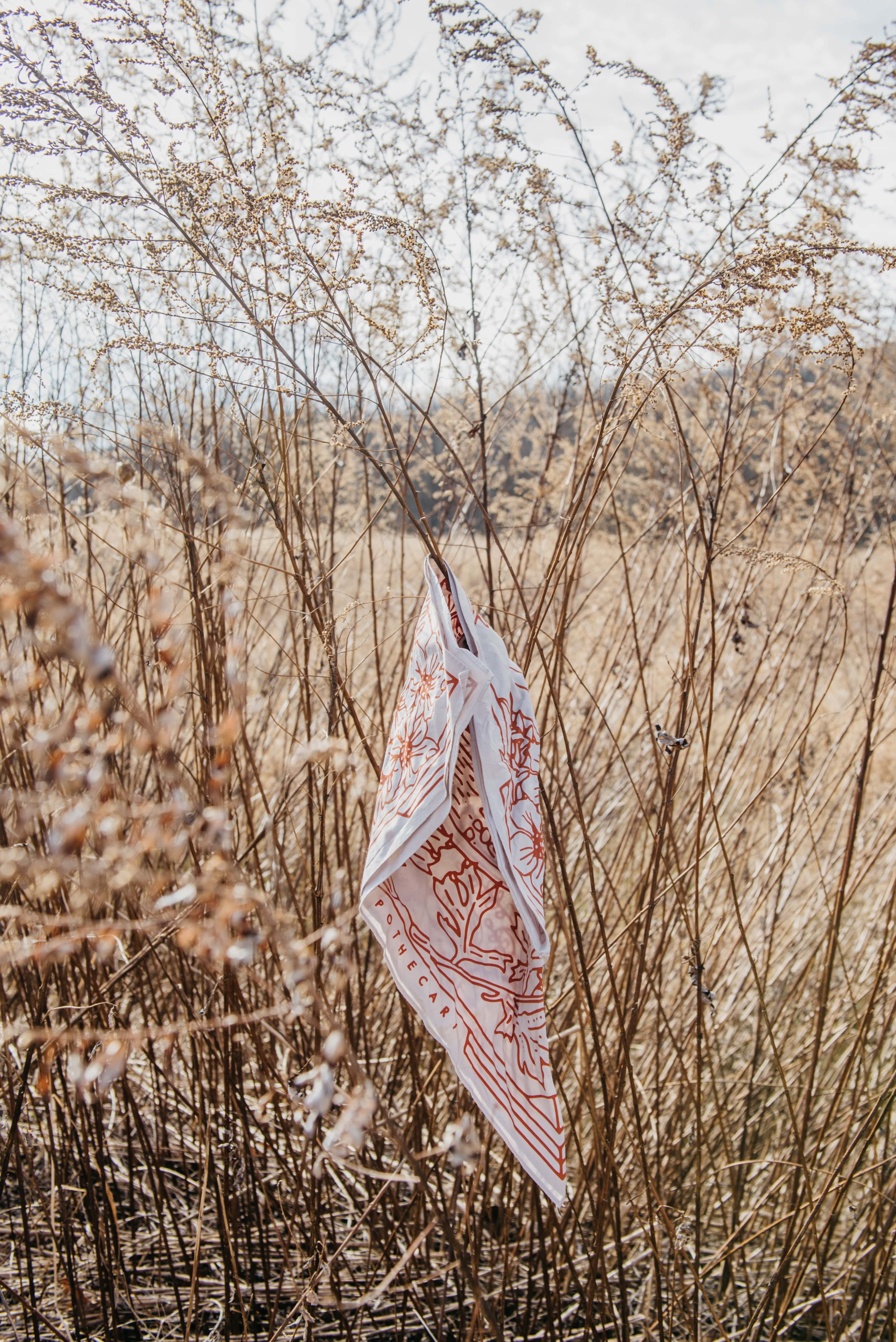 Yuba Bandana - My American Goods