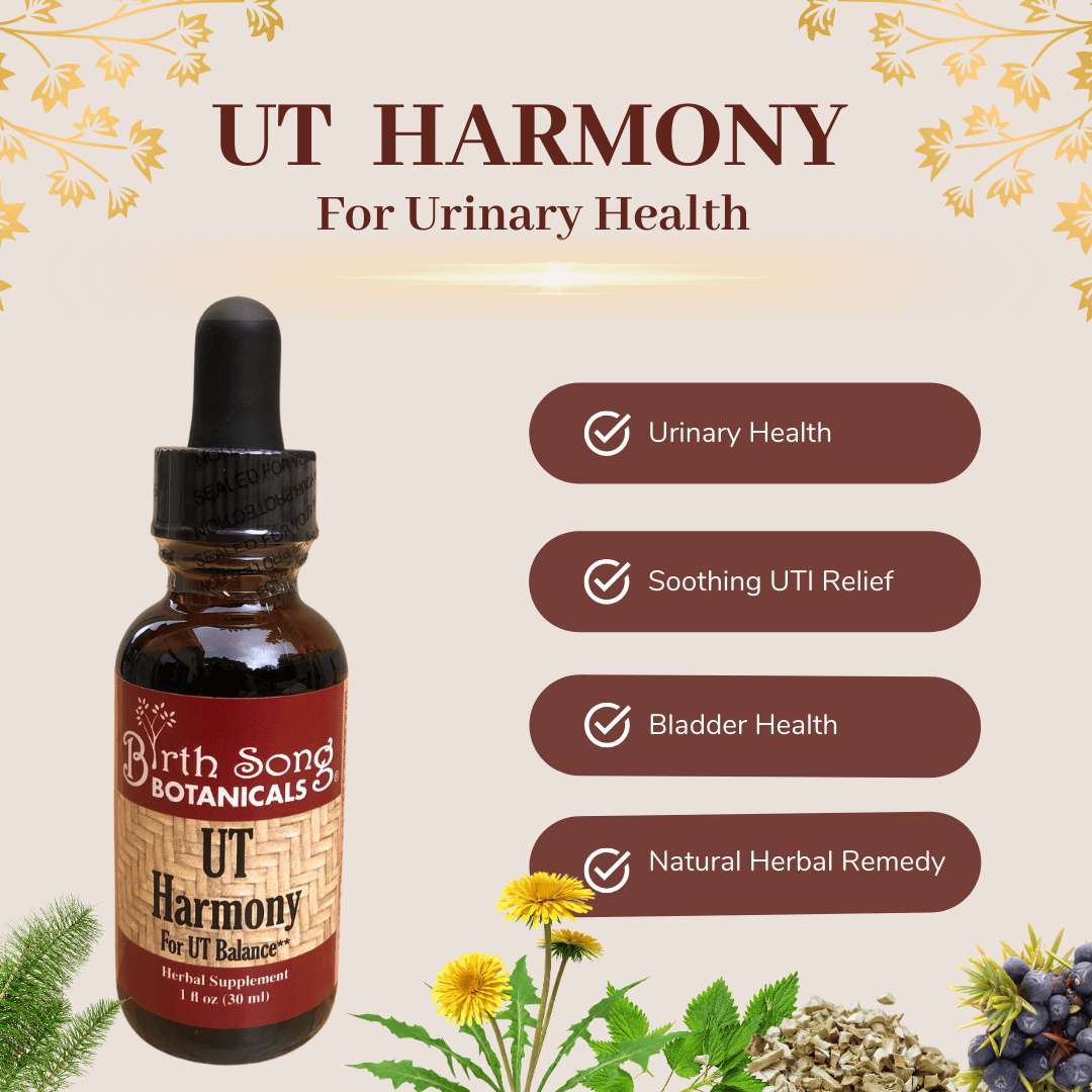 Birth Song Botanicals Co. Tinctures UT Harmony Herbal Tincture, Liquid Supplement for Women, Supports Urinary Tract and Bladder Health*, Supports healthy PH & Urinary Strength* 1 oz.