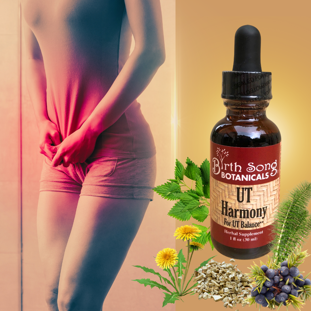 UT Harmony Herbal Tincture, Liquid Supplement for Women, Supports Urinary Tract and Bladder Health*, Supports healthy PH & Urinary Strength* 1 oz. - My American Goods