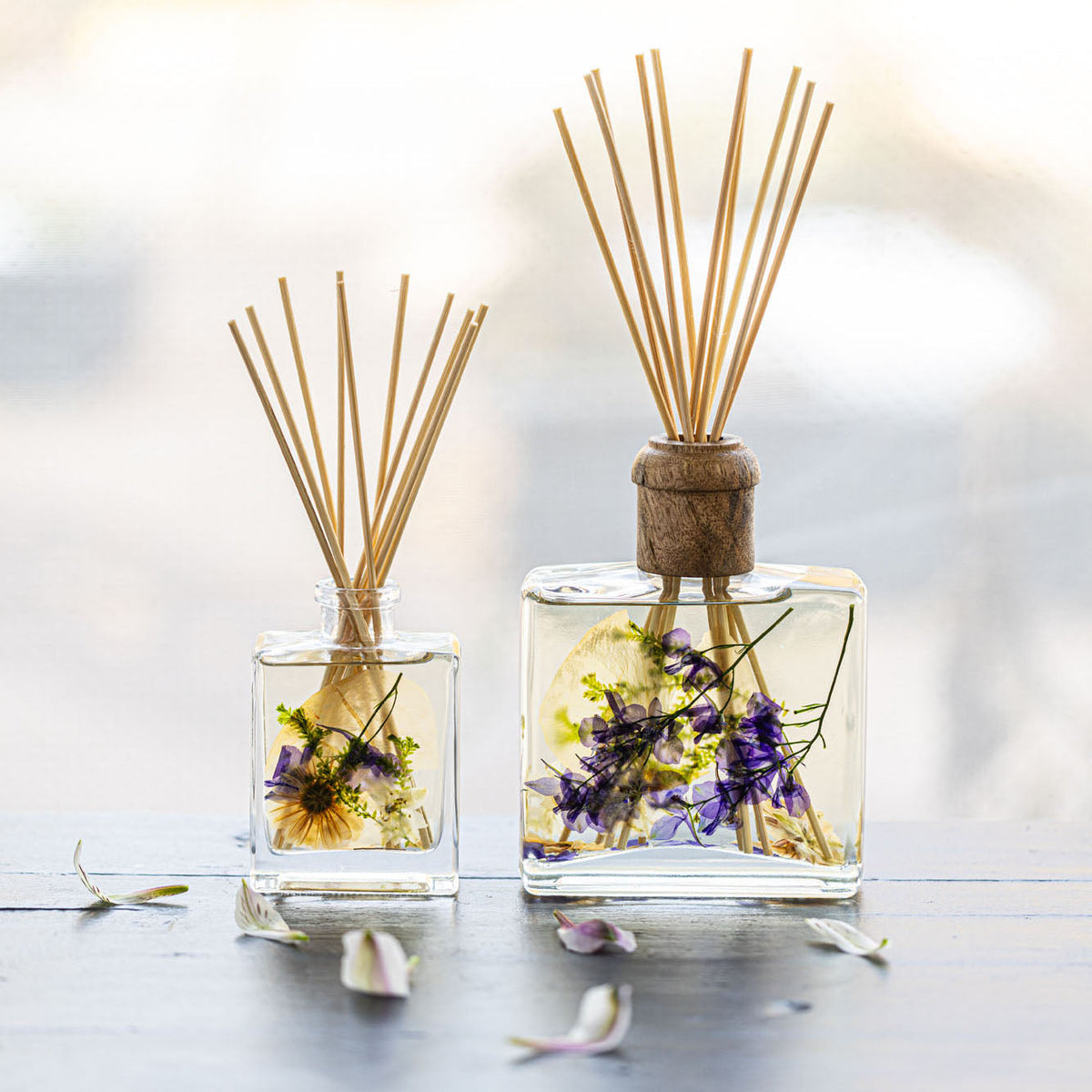 Accent Botanical Reed Diffuser - Vanilla Rain