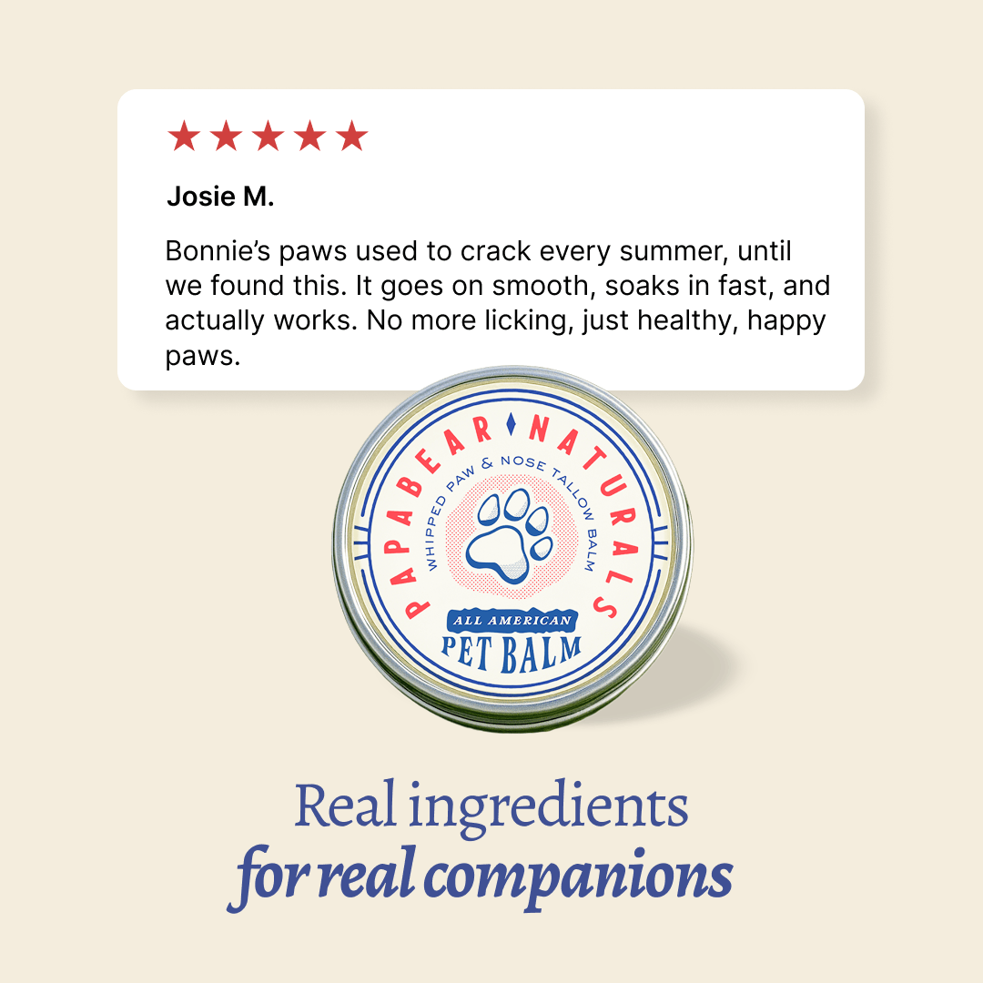 Papabear All American Whipped Pet Balm - My American Goods